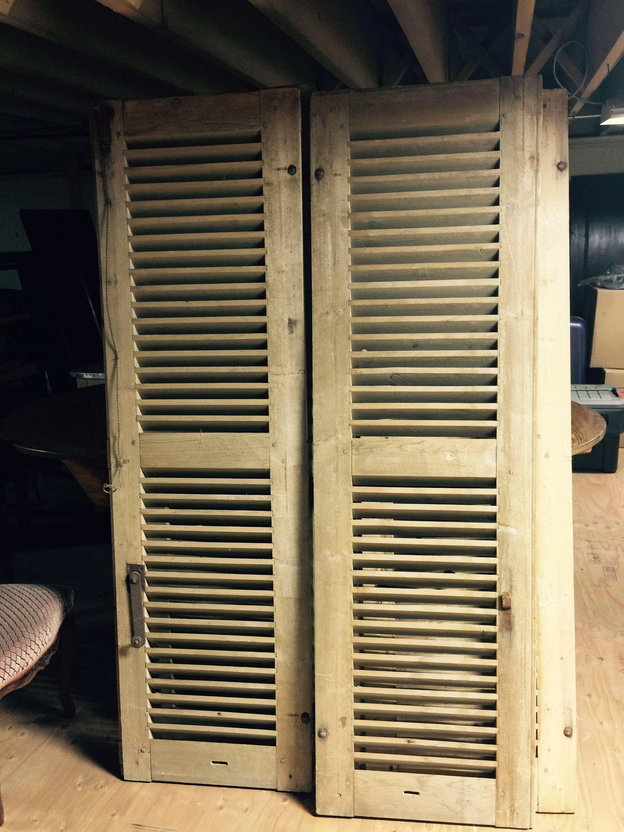 19th Century Pair of 19th century Shutters from France