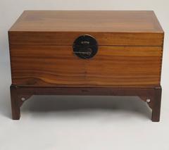 Chinese Camphor Wood Trunk on Stand