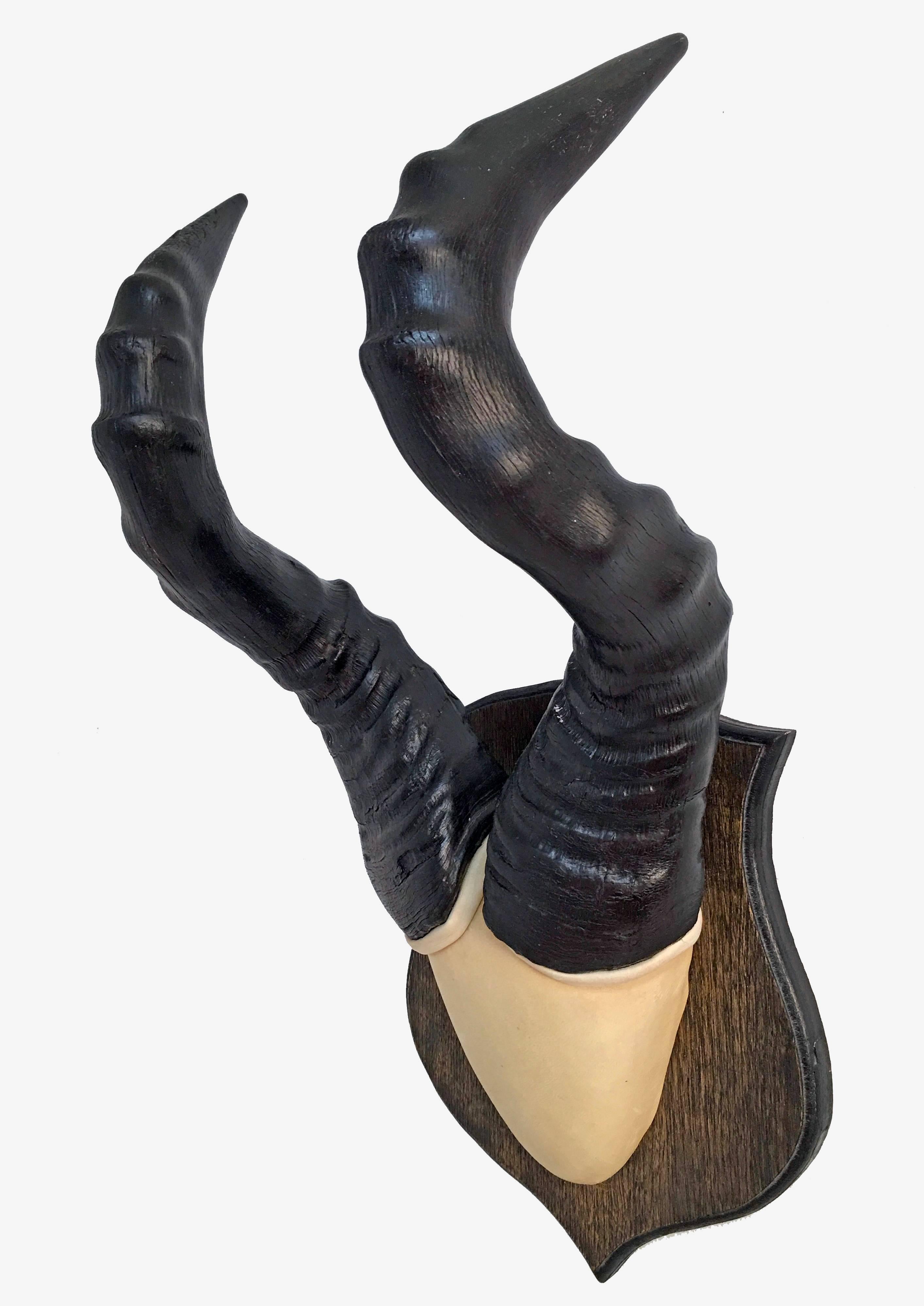 Set of Jackson's Hartebeest Horns professionally conserved and unusually mounted on kid suede covered form and attached to heraldic shaped wood plaque. African, 20th century.

These came from the Bechtel Estate in Atherton, CA.