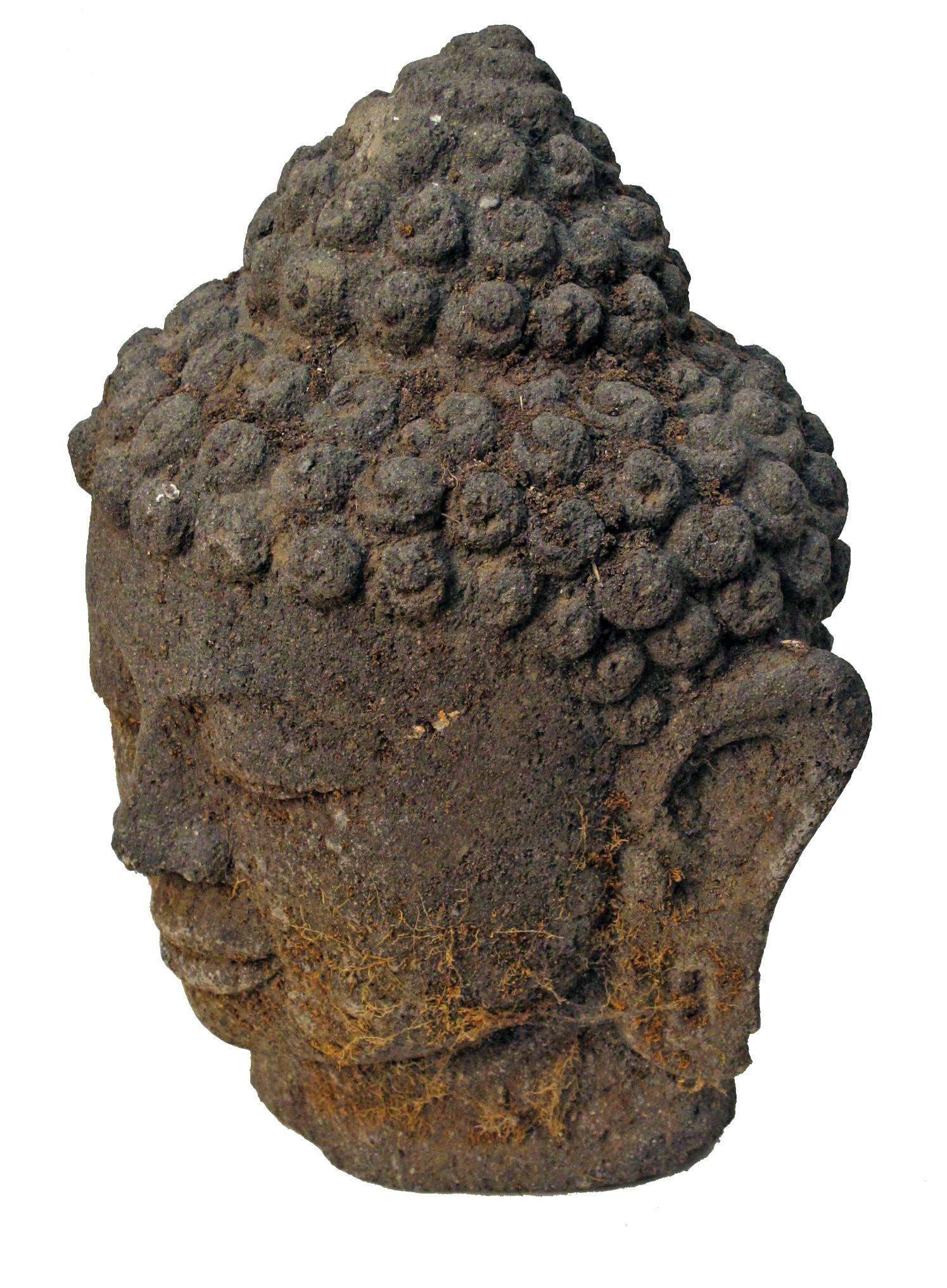 stone buddha head statue