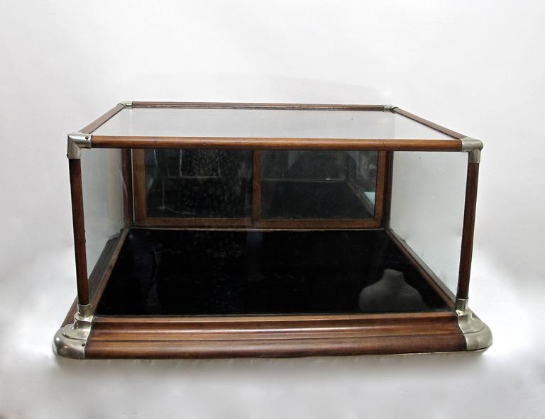 Antique American Oak Display Case at 1stDibs