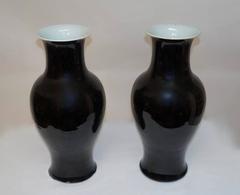 Pair of Chinese Mirror Black Vases, Kangxi Period, 19th Century