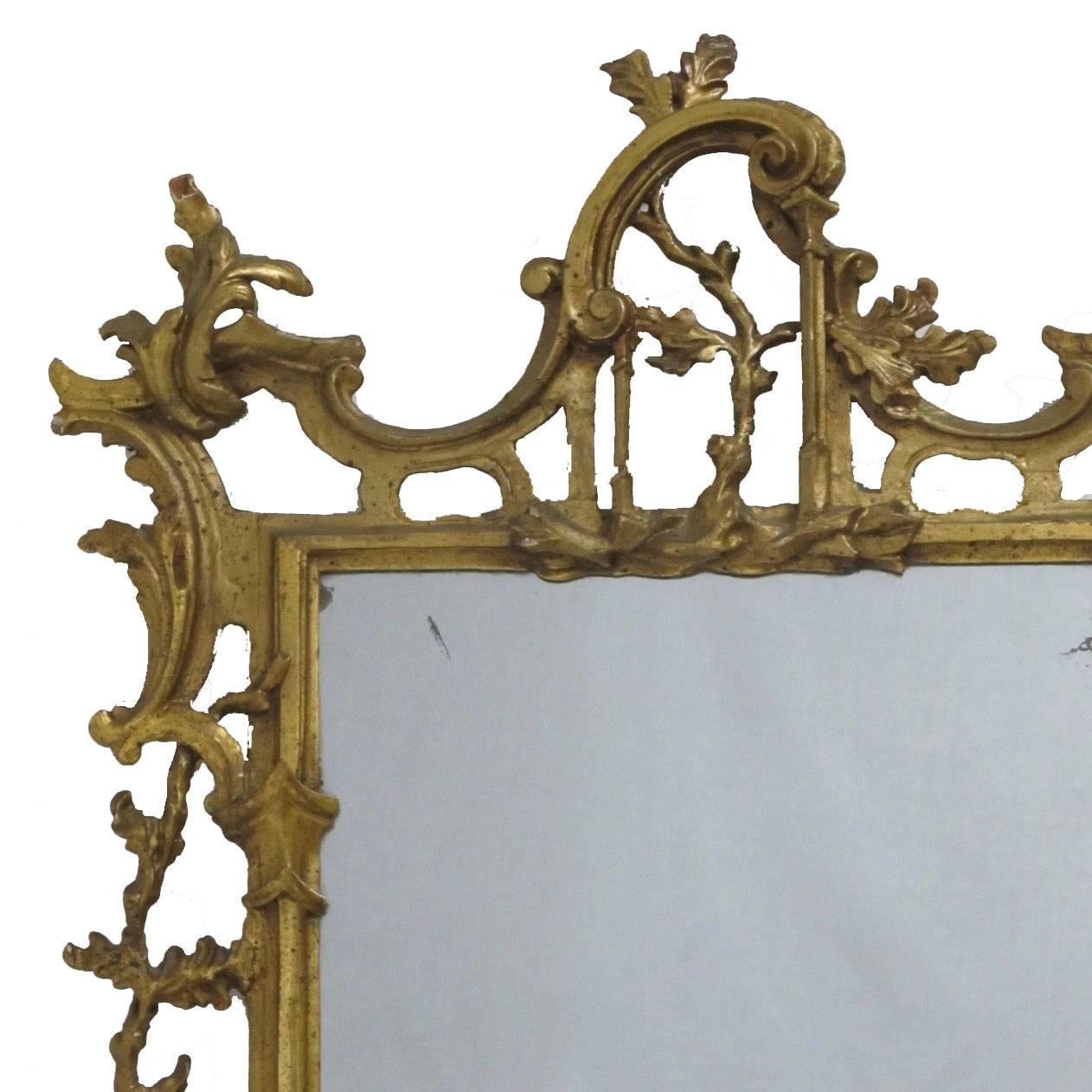 Carved 18th Century Italian Rococo Gilt Mirror