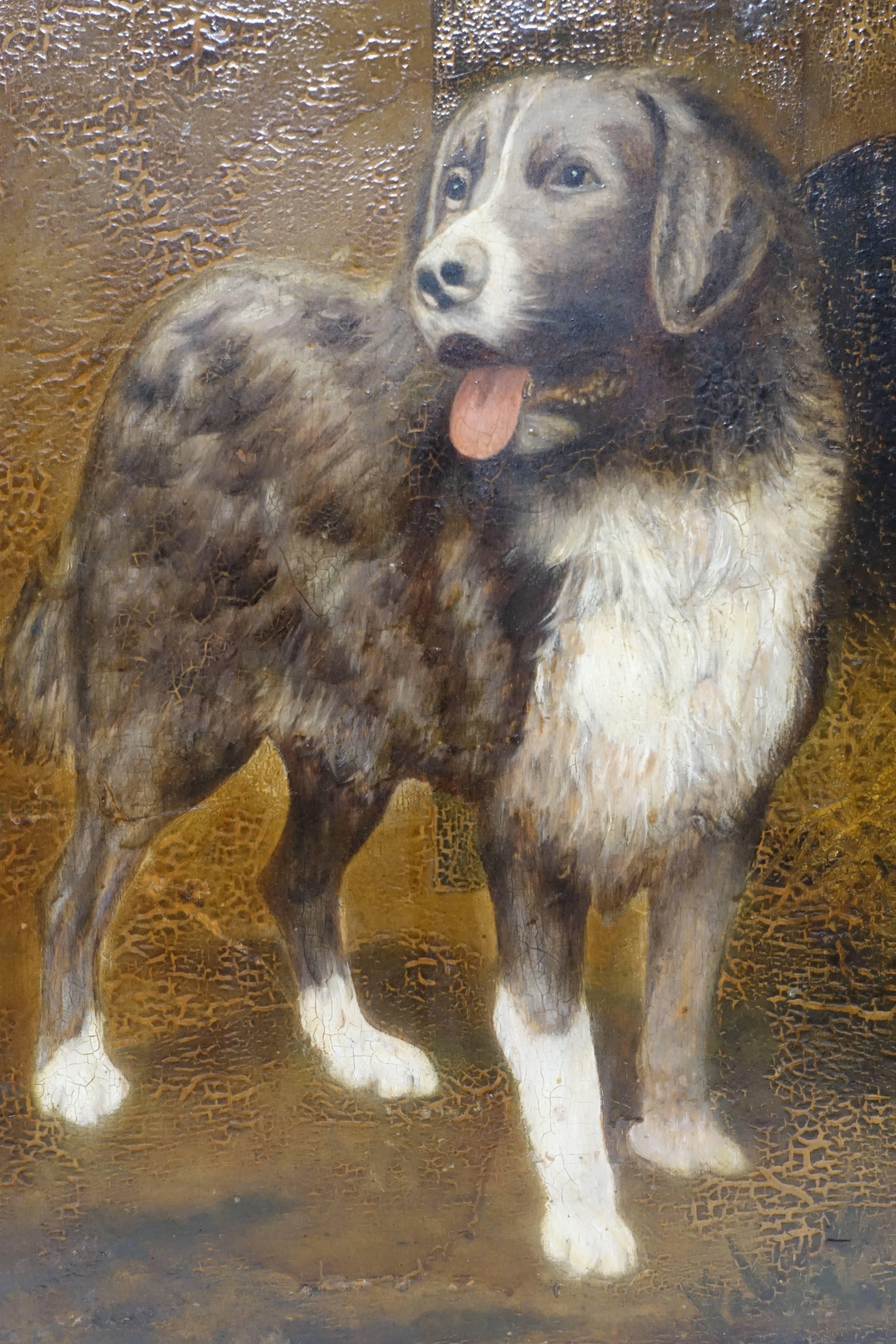 An English late 19th century portrait painting of a dog. 
Expressive detailed face, beautifully painted.
Oil paint on a heavy wood panel. Shows some old craquelure to the varnish.
In lovely antique condition.