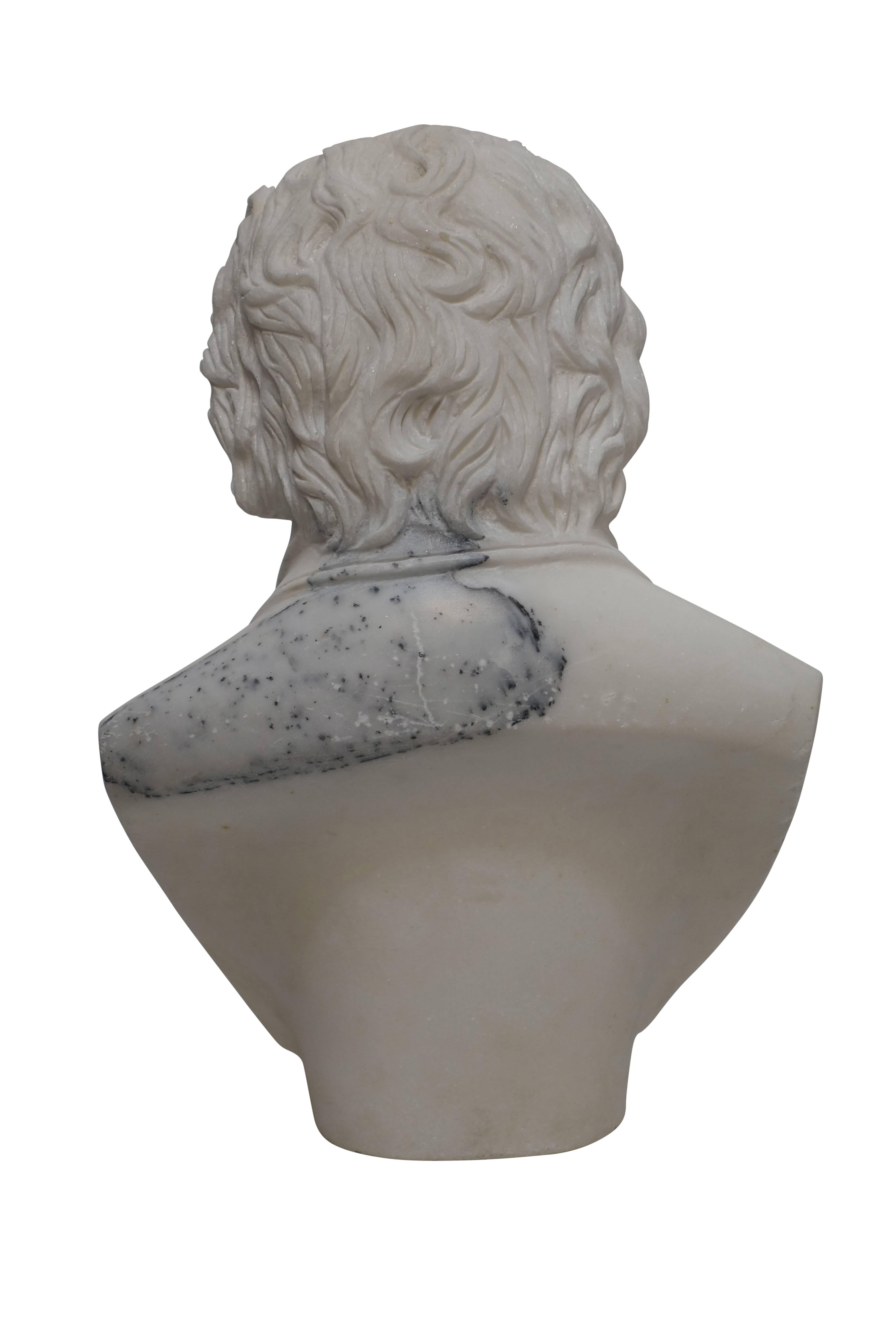 Carrera Marble Bust of Beethoven, 19th Century 5