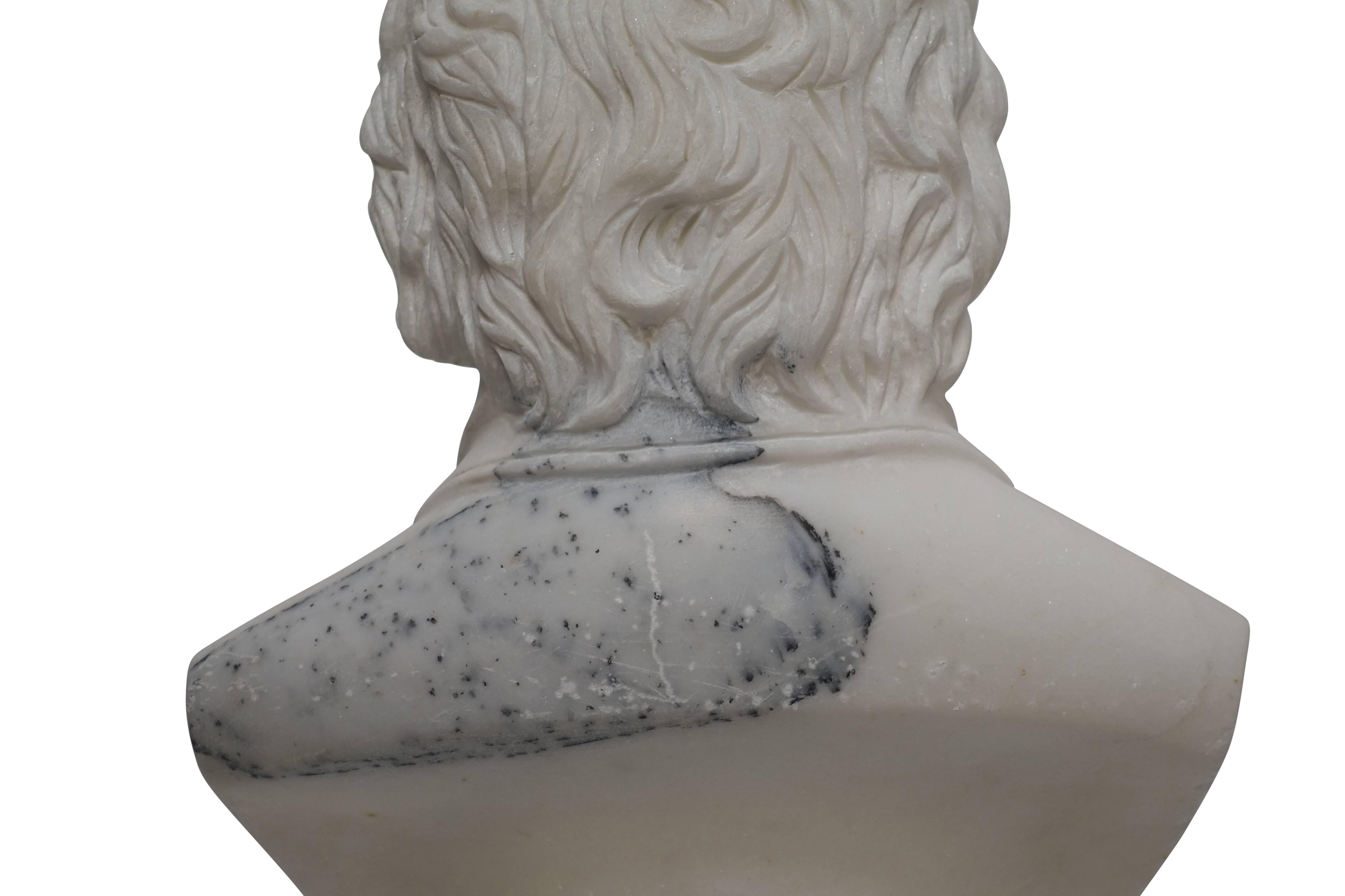 Carrera Marble Bust of Beethoven, 19th Century 4