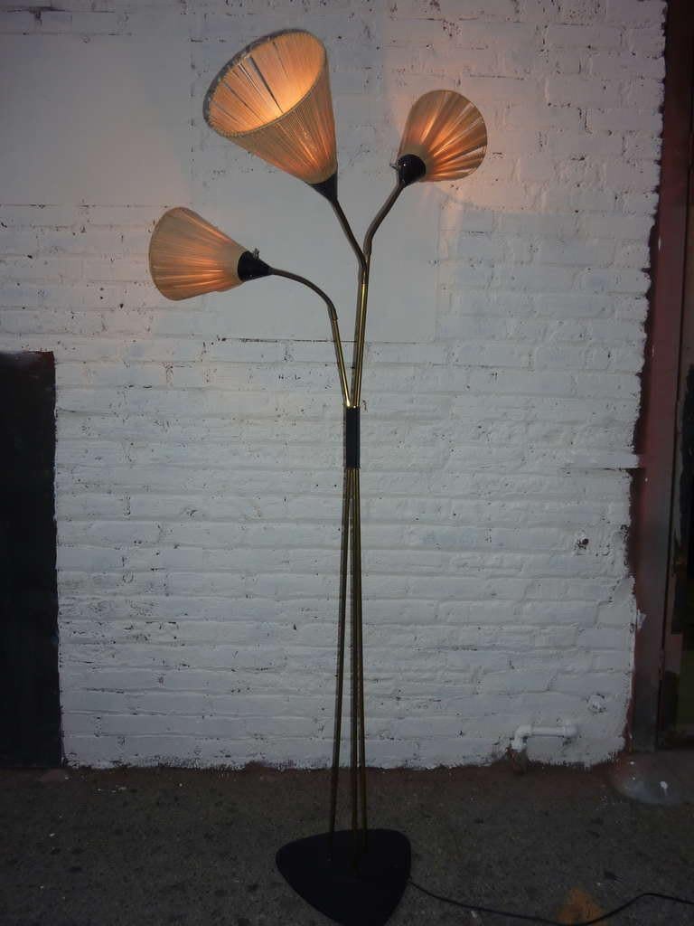 Adjustable neck lamp shades, second height is 59 inches.