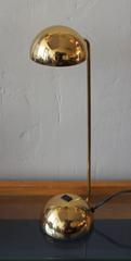 Italian Brass Desk Lamp by Barbieri and Marianelli for Tronconi