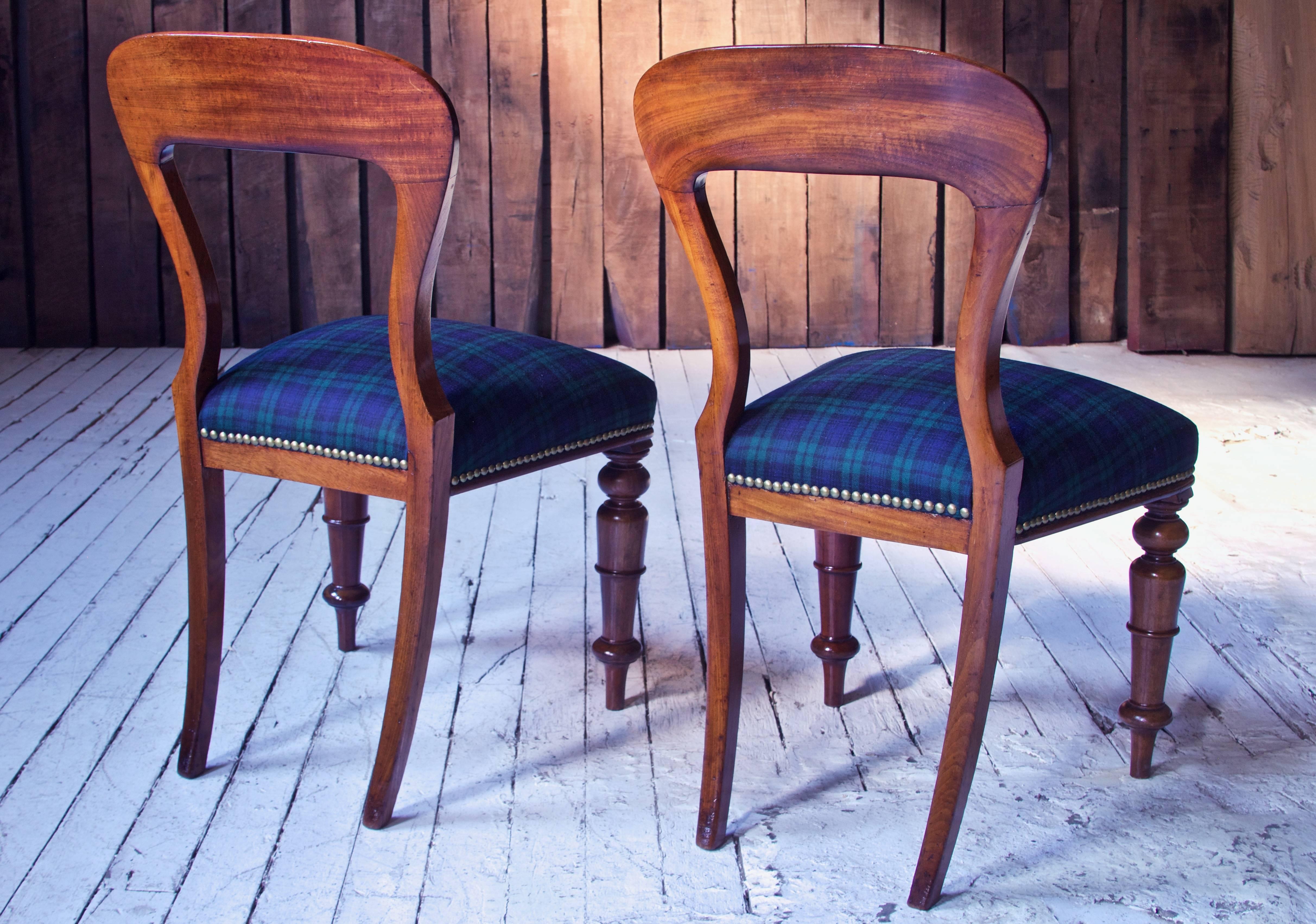 William IV Set of 8 'Balloon' Chairs in Cuban Mahogany and Blue Plaid Wool 1830s In Good Condition In Brooklyn, NY