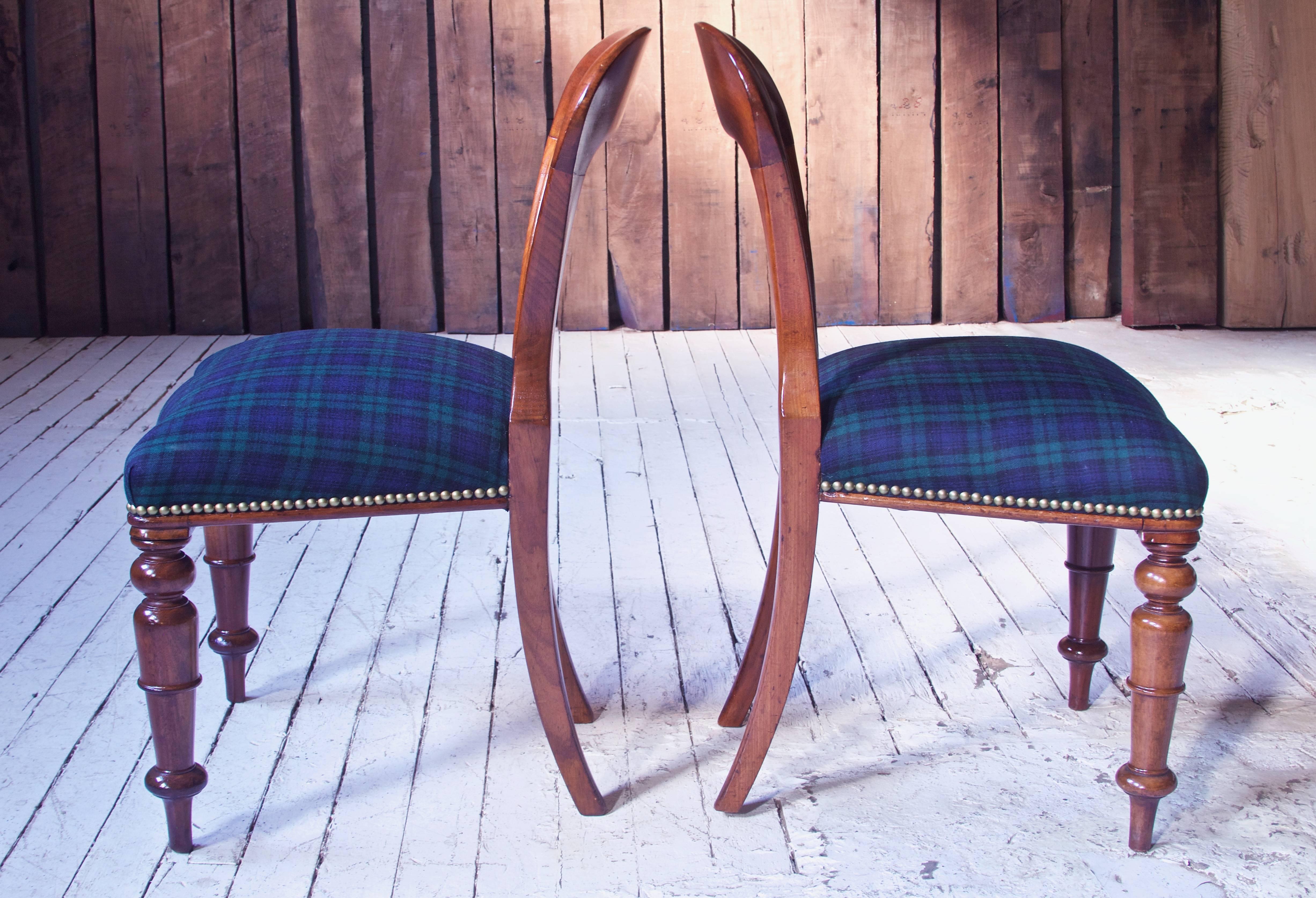 Carved William IV Set of 8 'Balloon' Chairs in Cuban Mahogany and Blue Plaid Wool 1830s