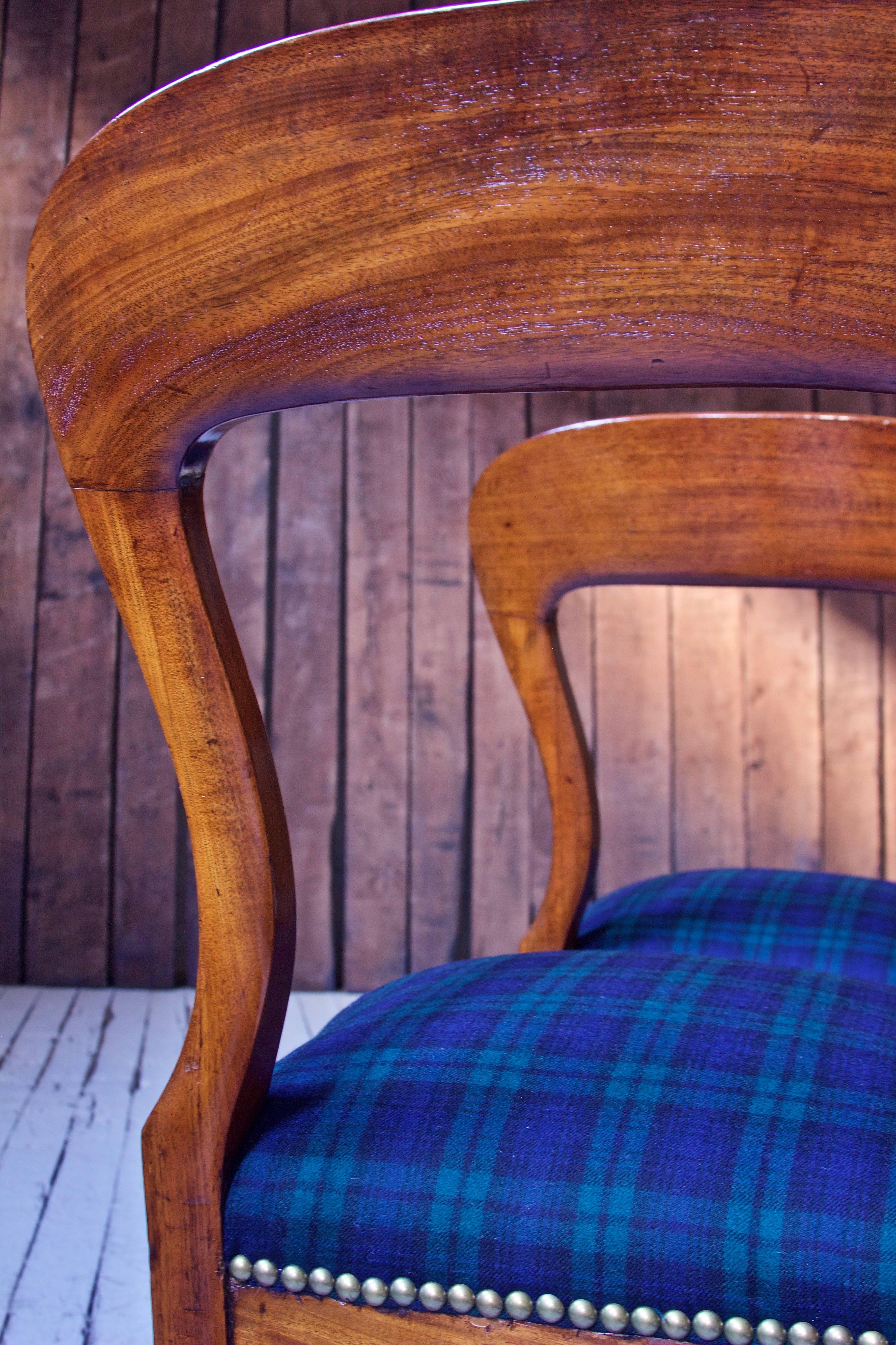 William IV Set of 8 'Balloon' Chairs in Cuban Mahogany and Blue Plaid Wool 1830s 1