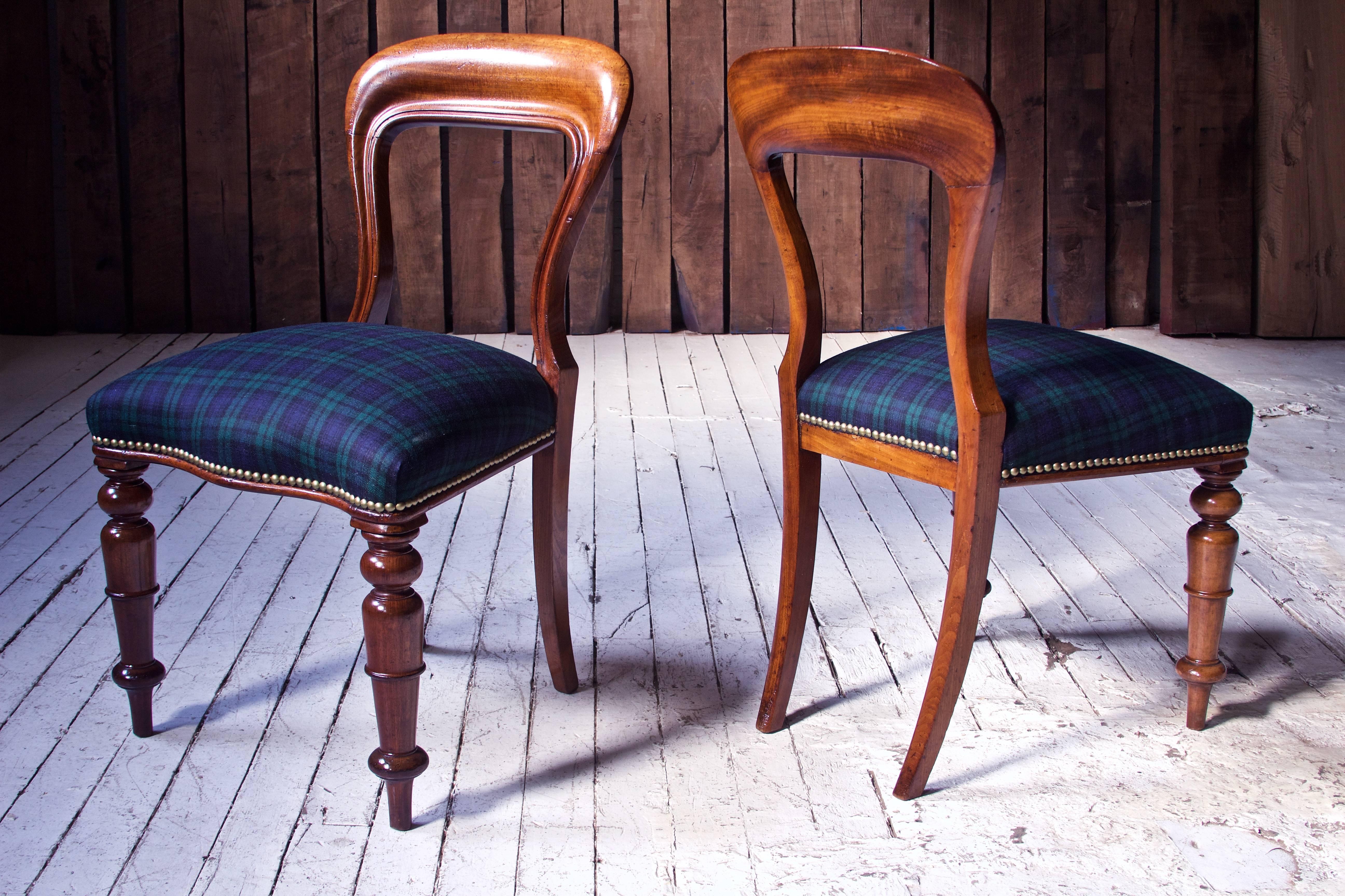 Irish William IV Set of 8 'Balloon' Chairs in Cuban Mahogany and Blue Plaid Wool 1830s