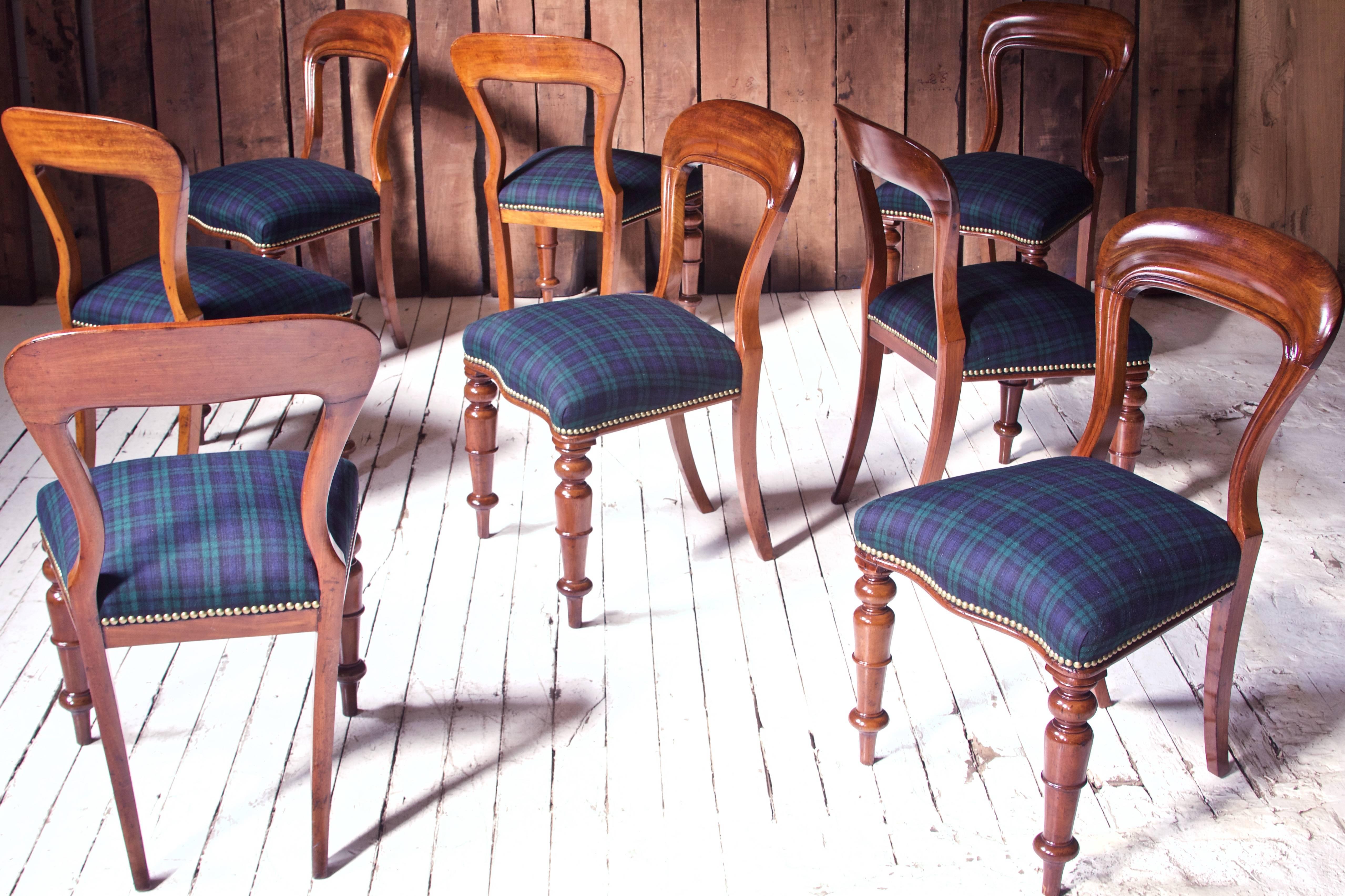 William IV Set of 8 'Balloon' Chairs in Cuban Mahogany and Blue Plaid Wool 1830s 3