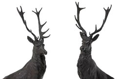 Bronze Stag Sculptures, Patinated, Pair, Large, After Jules Moigniez, Marble Bas