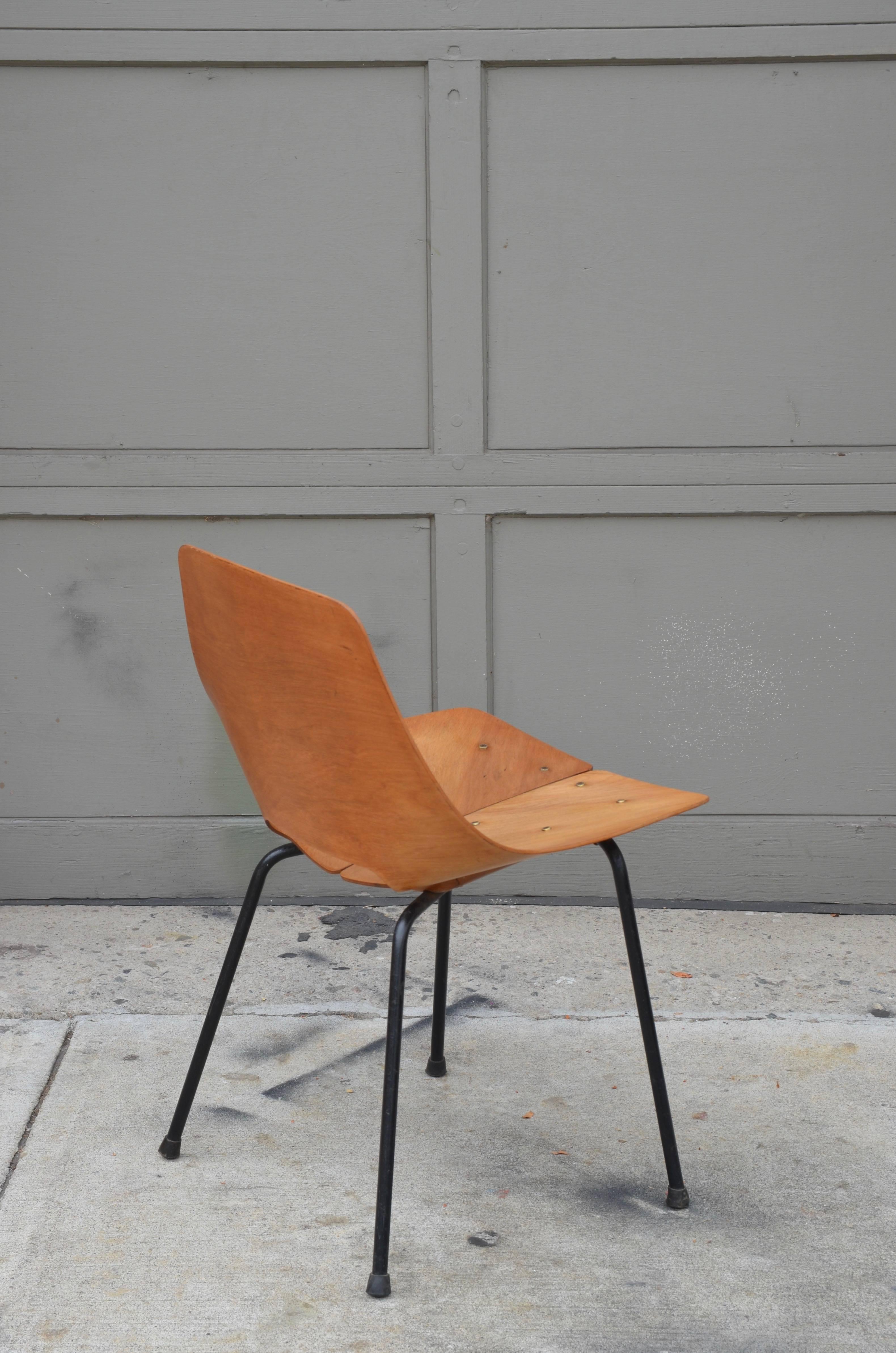 French Pair of Bent Plywood Tonneau Side Chairs by Pierre Guariche