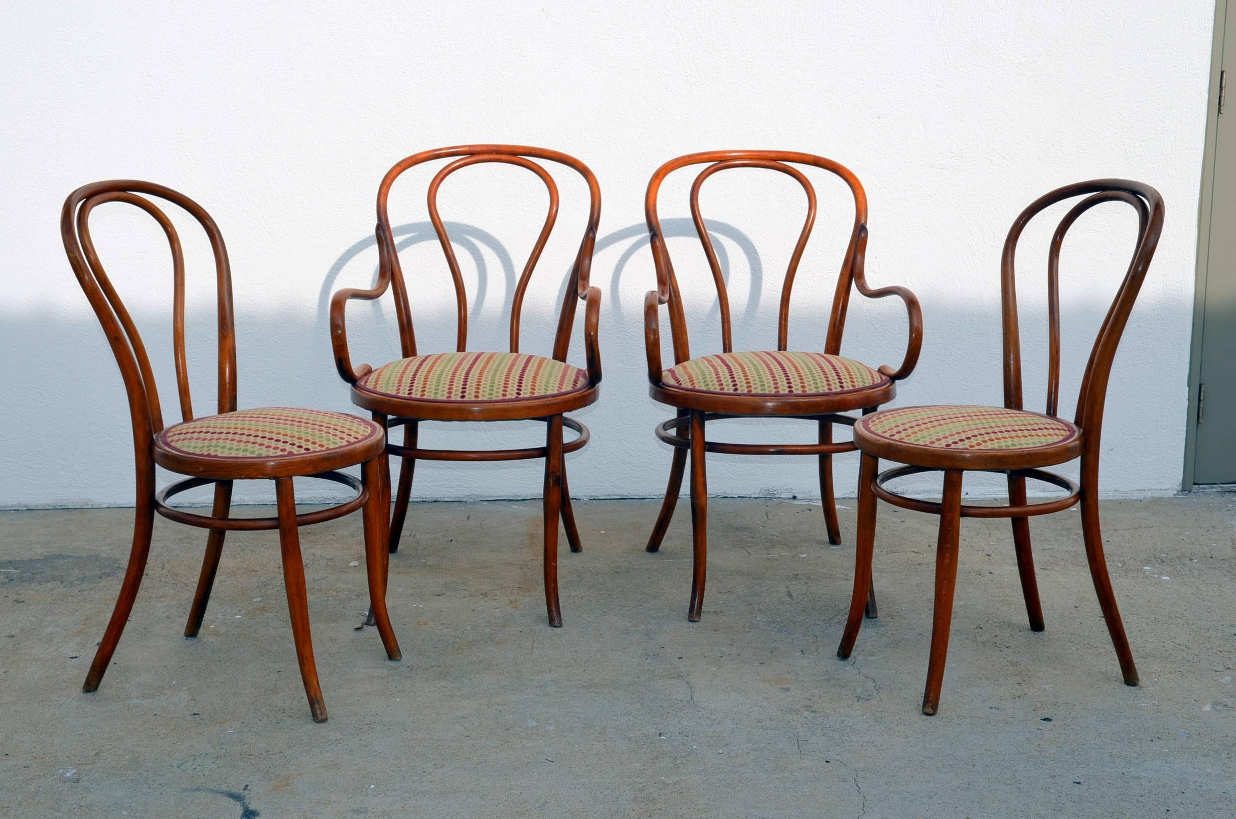 Set aus vier großen, schlanken Esszimmerstühlen aus Bugholz von Thonet im Angebot 3