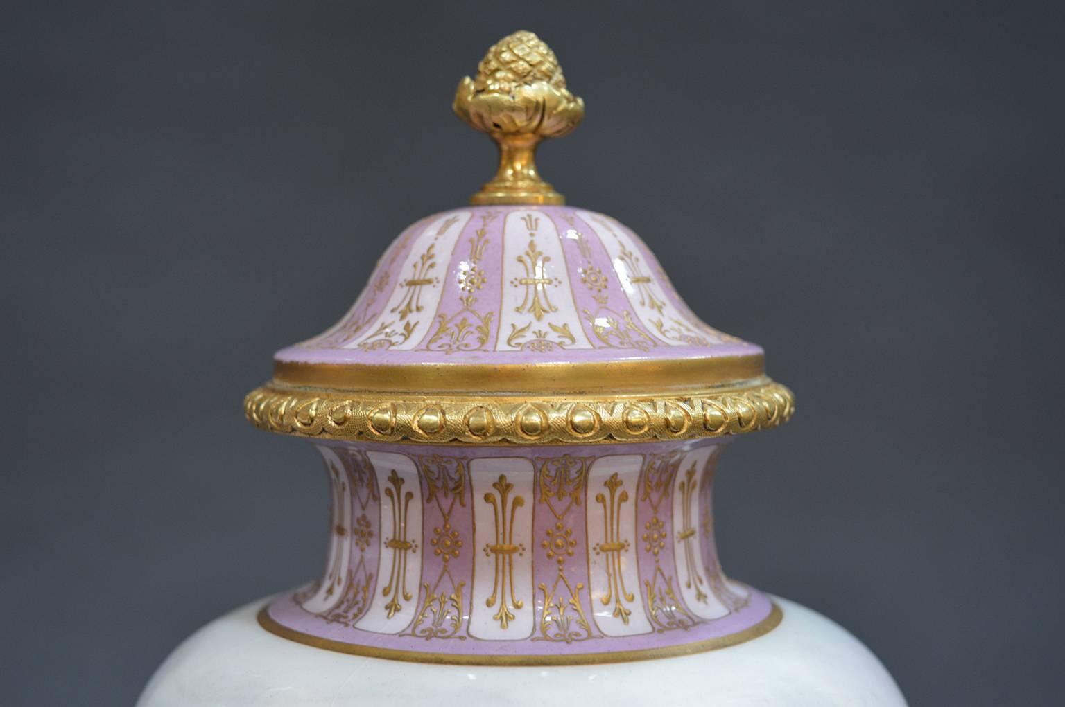 Pair of 19th Century Sevres Covered Urns 4