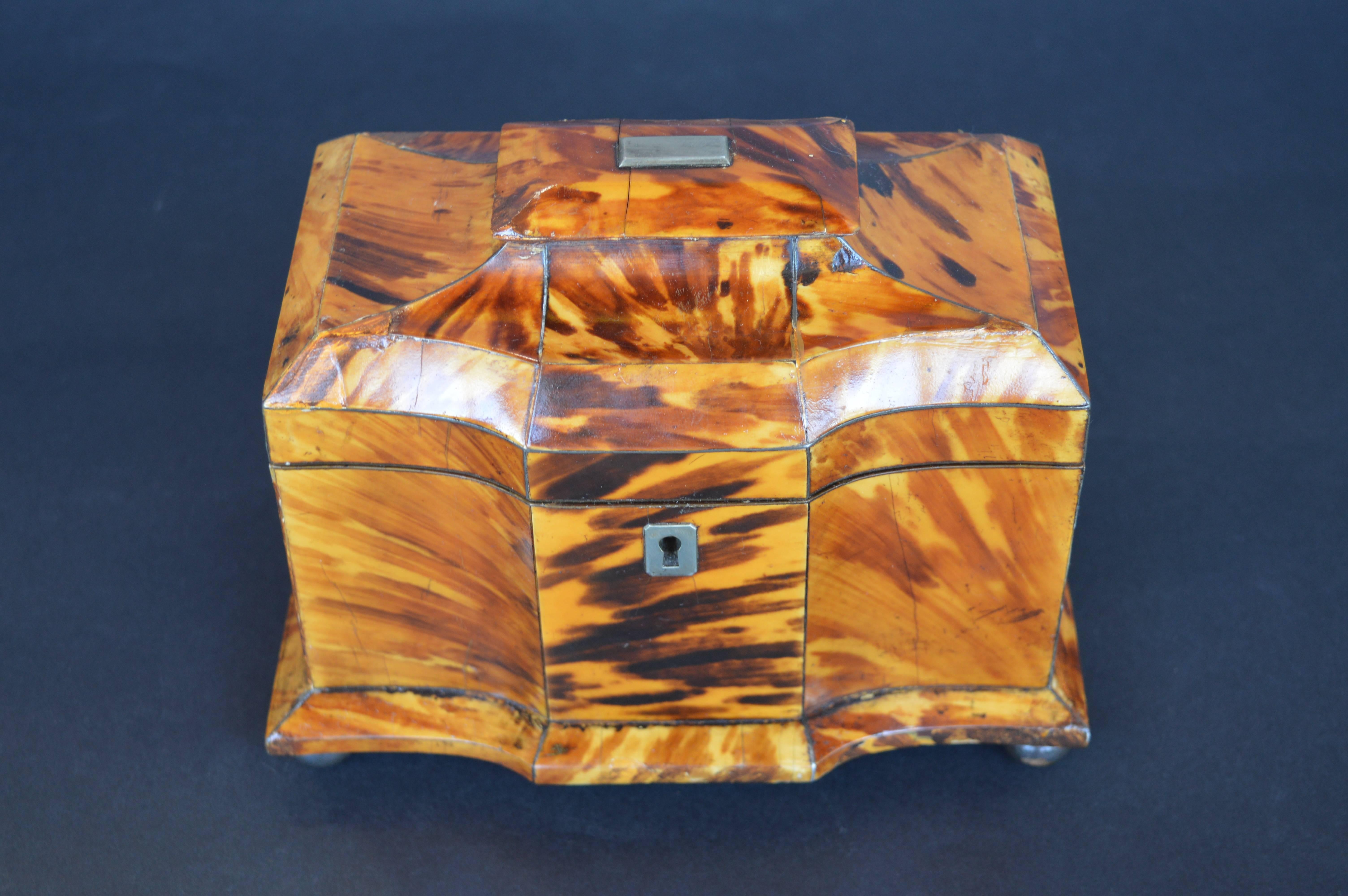 English Collection of Six 19th Century Tortoise Shell Boxes