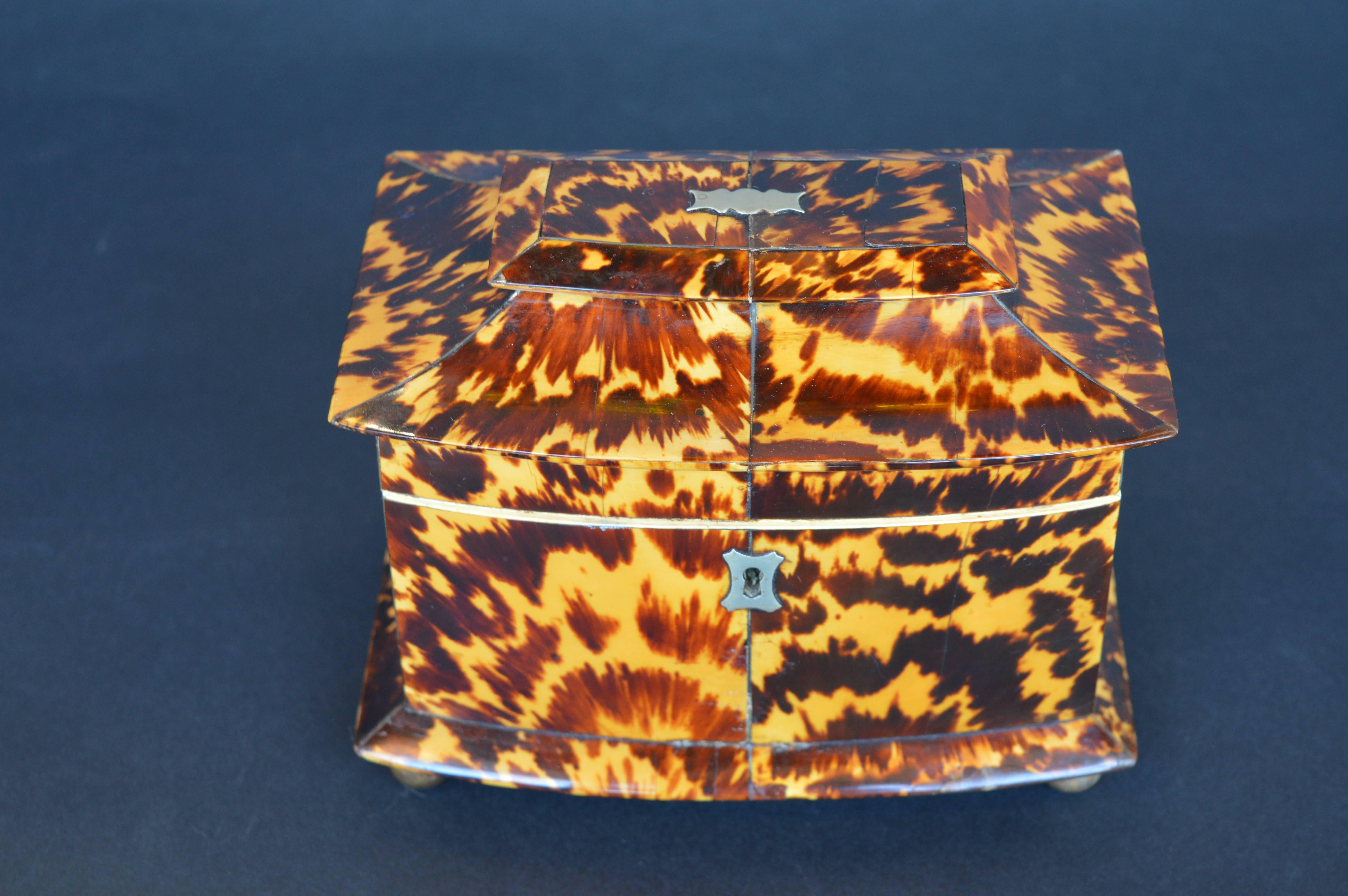 Collection of Six 19th Century Tortoise Shell Boxes 1