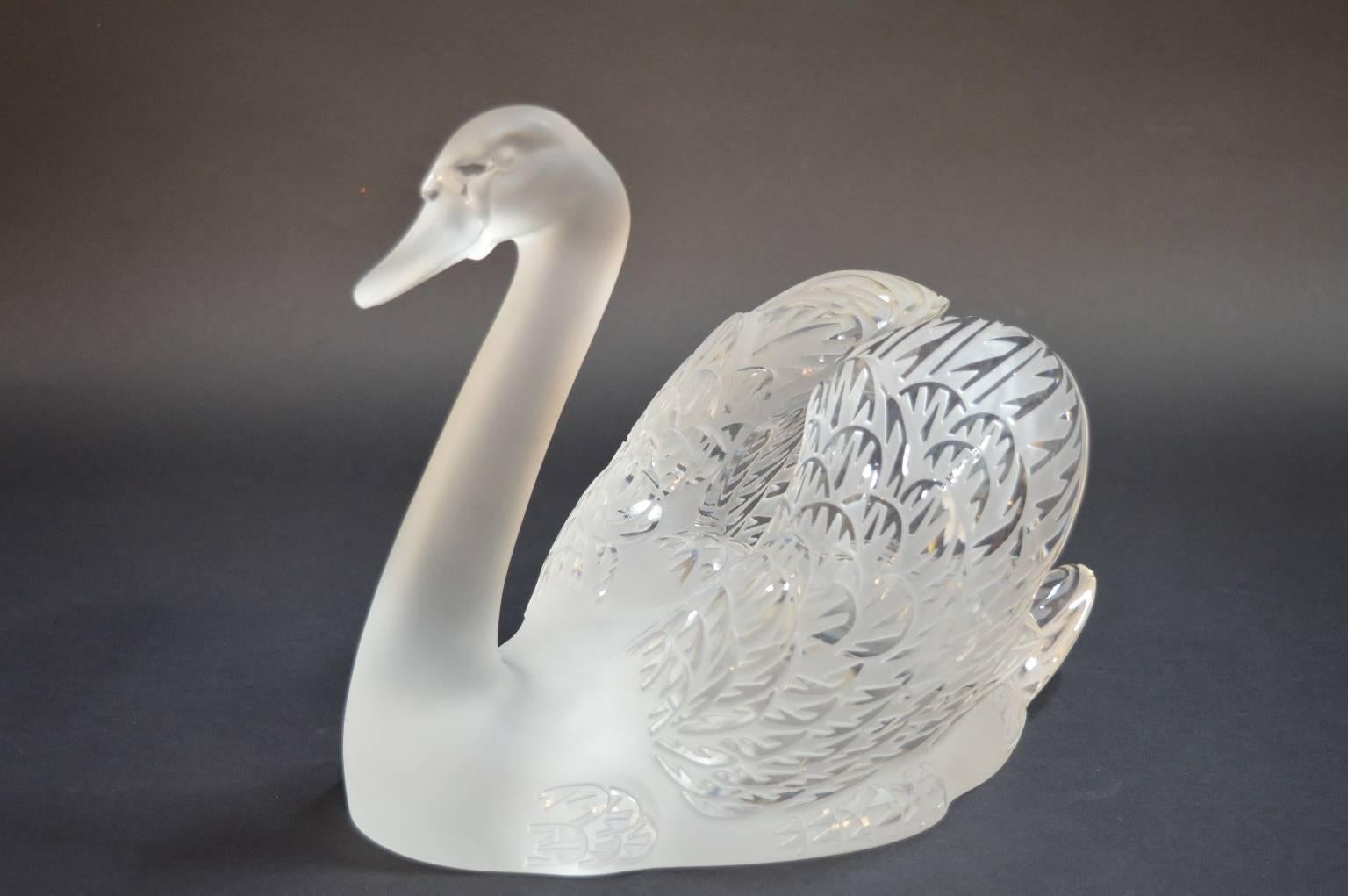 An amazing pair of Lalique crystal swans -- one swan has its neck down and the other upright. Signed Lalique France. Measurement are:

Reclining neck swan: 14.25