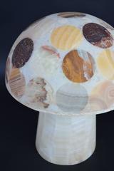 Pair of Multi-coloured Onyx Mushroom Lamps