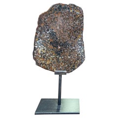 Pallasite Meteorite Slice from the Jericho Strewn Field, Kenya.