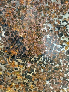 Pallasite Meteorite Slice from the Jericho Strewn Field, Kenya.