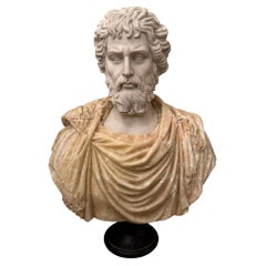 Bust of Roman Emperor Septimius Severus on Black Marble Base. Italy 20th Century