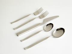 Alpha Stainless Flatware Set