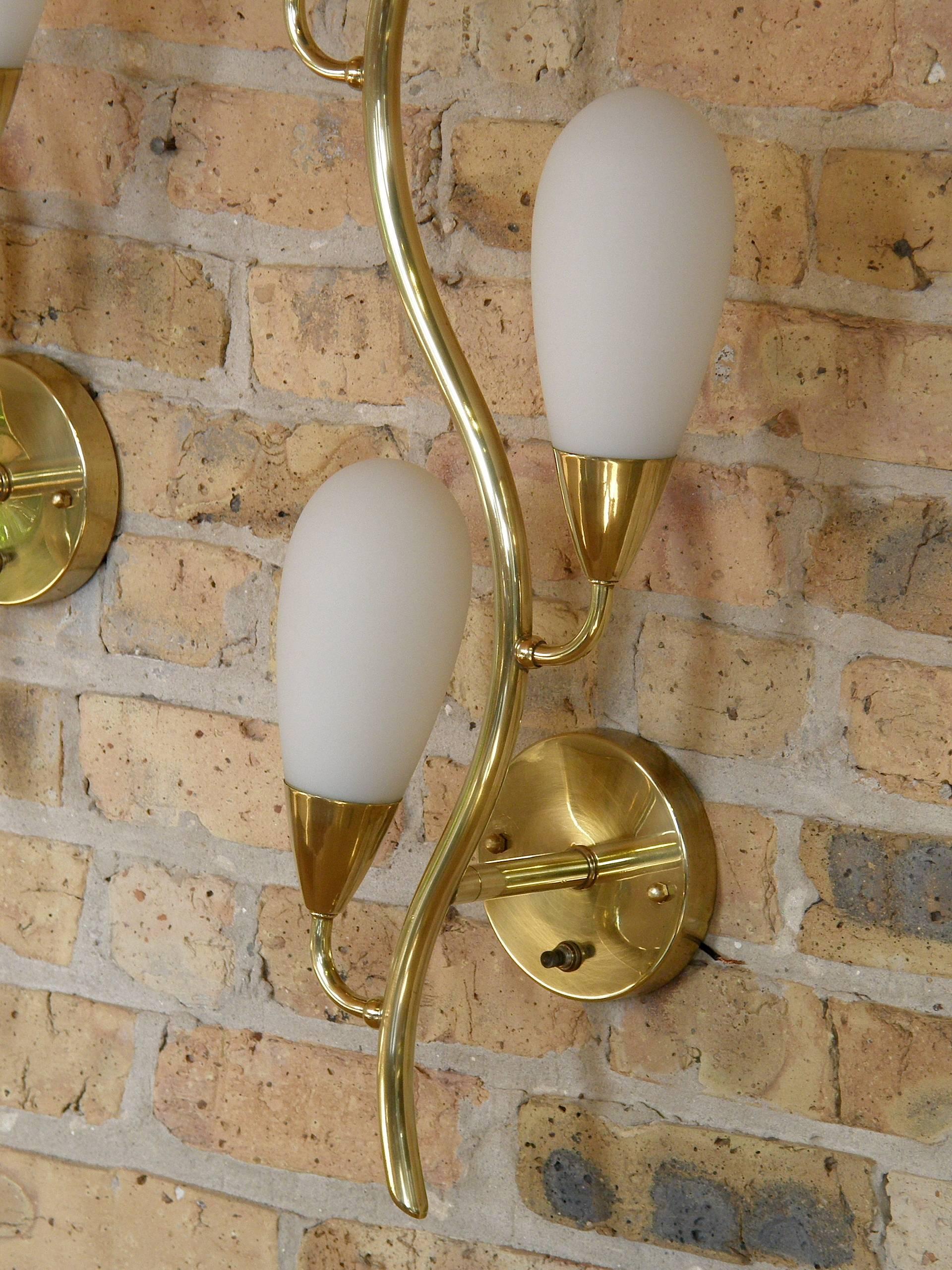 Pair of Brass and Glass Flora Form Wall Lamps 2