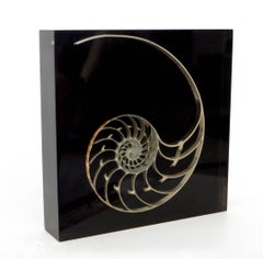Pierre Giraudon Nautilus Seashell French Inclusion Sculpture in Resin
