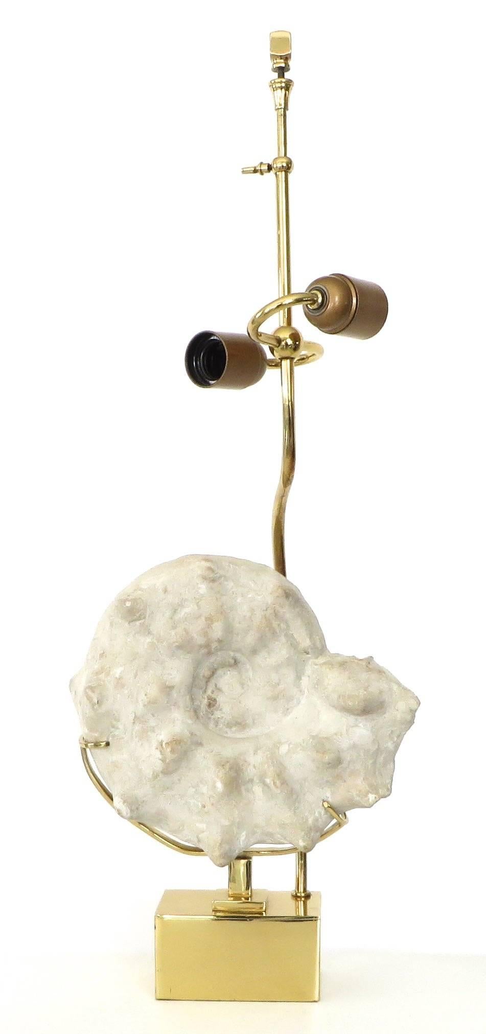 Late 20th Century Brass Belgian Lamp with Mounted Ammonite Specimen