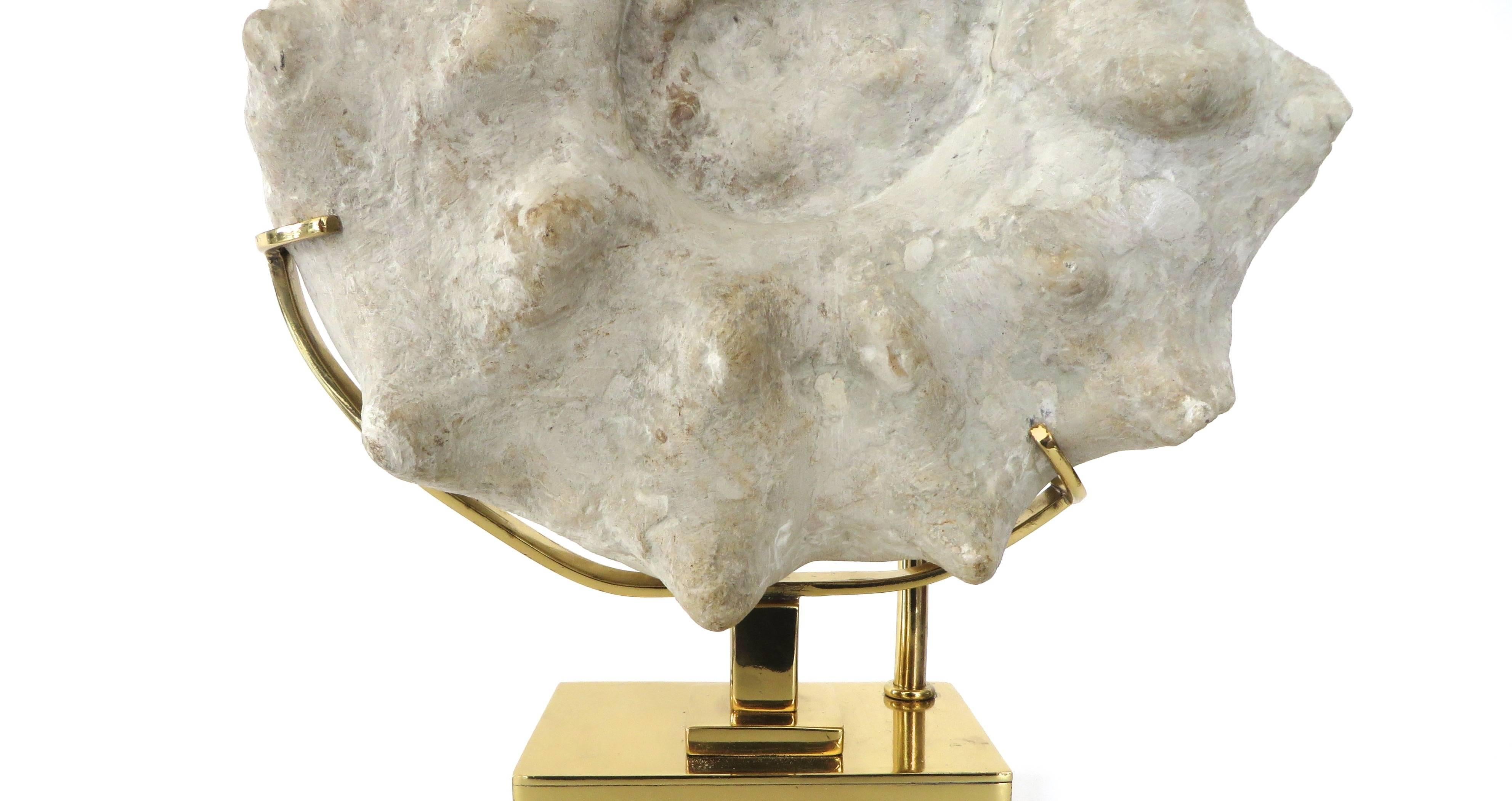 Brass Belgian Lamp with Mounted Ammonite Specimen 3