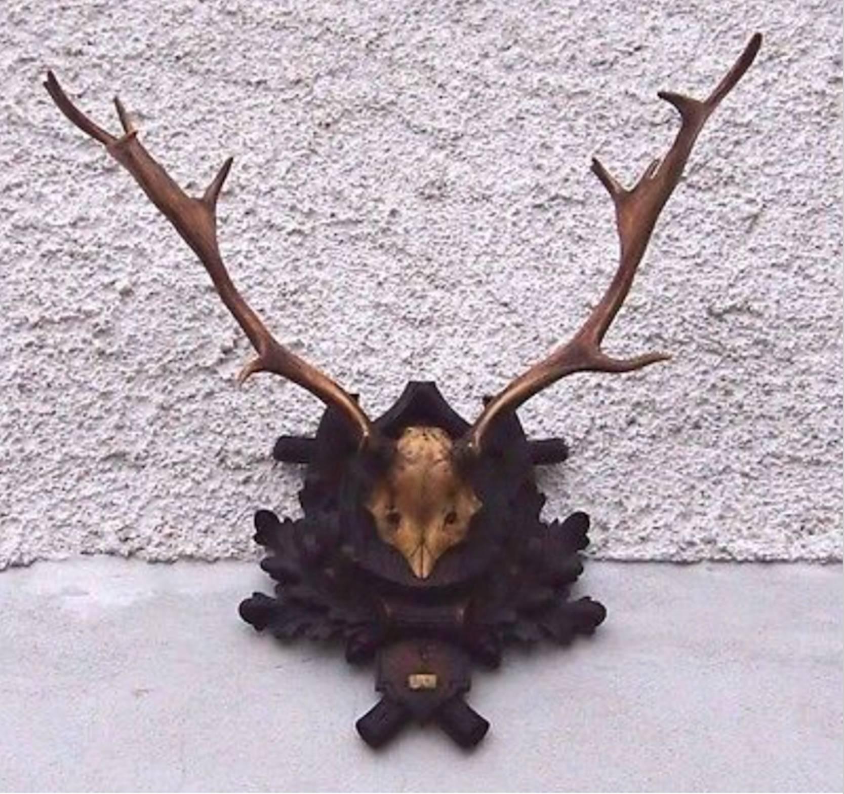 Austrian Exceptional Black Forest Stag Antler Mount on Hand-Carved Plaque, Dated 1918