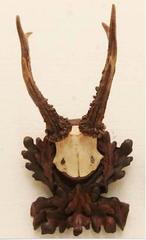 Collection of Nine Black Forest Antler Mounts on Hand-Carved Wood Plaques Priced