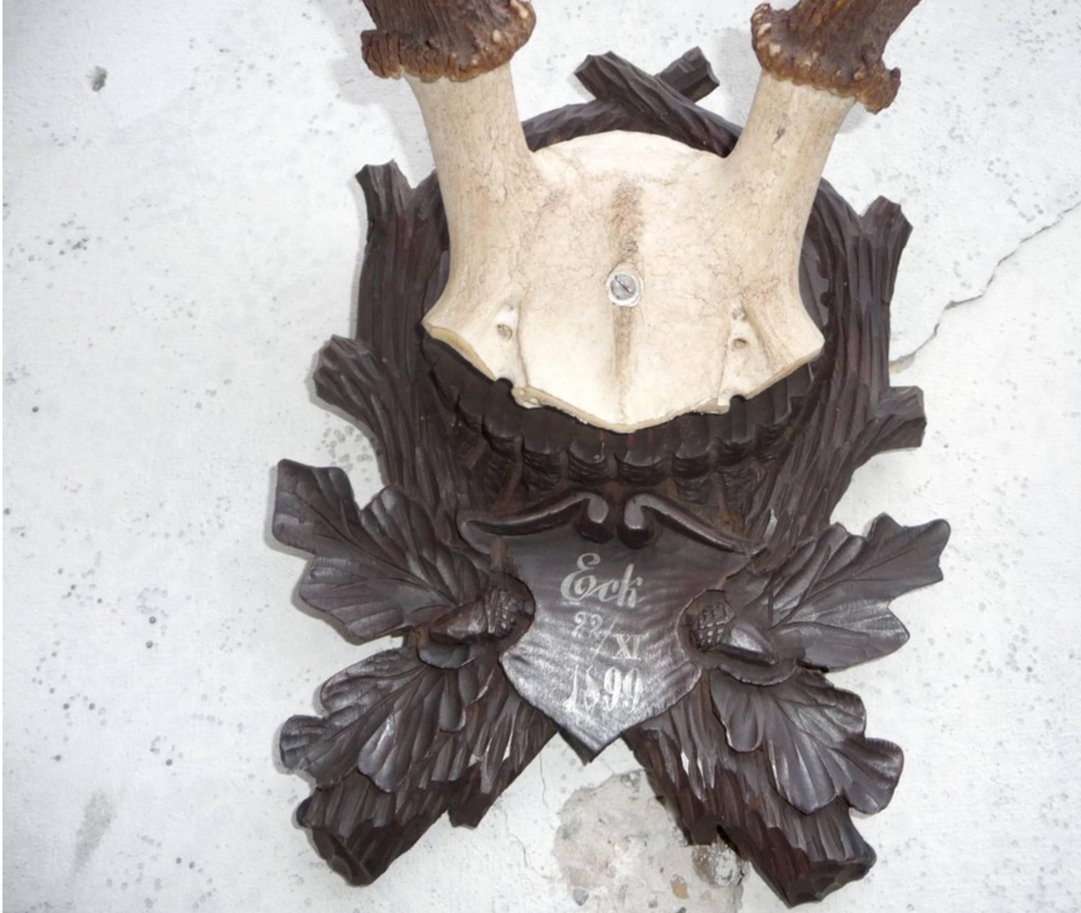 black forest antler mount plaque