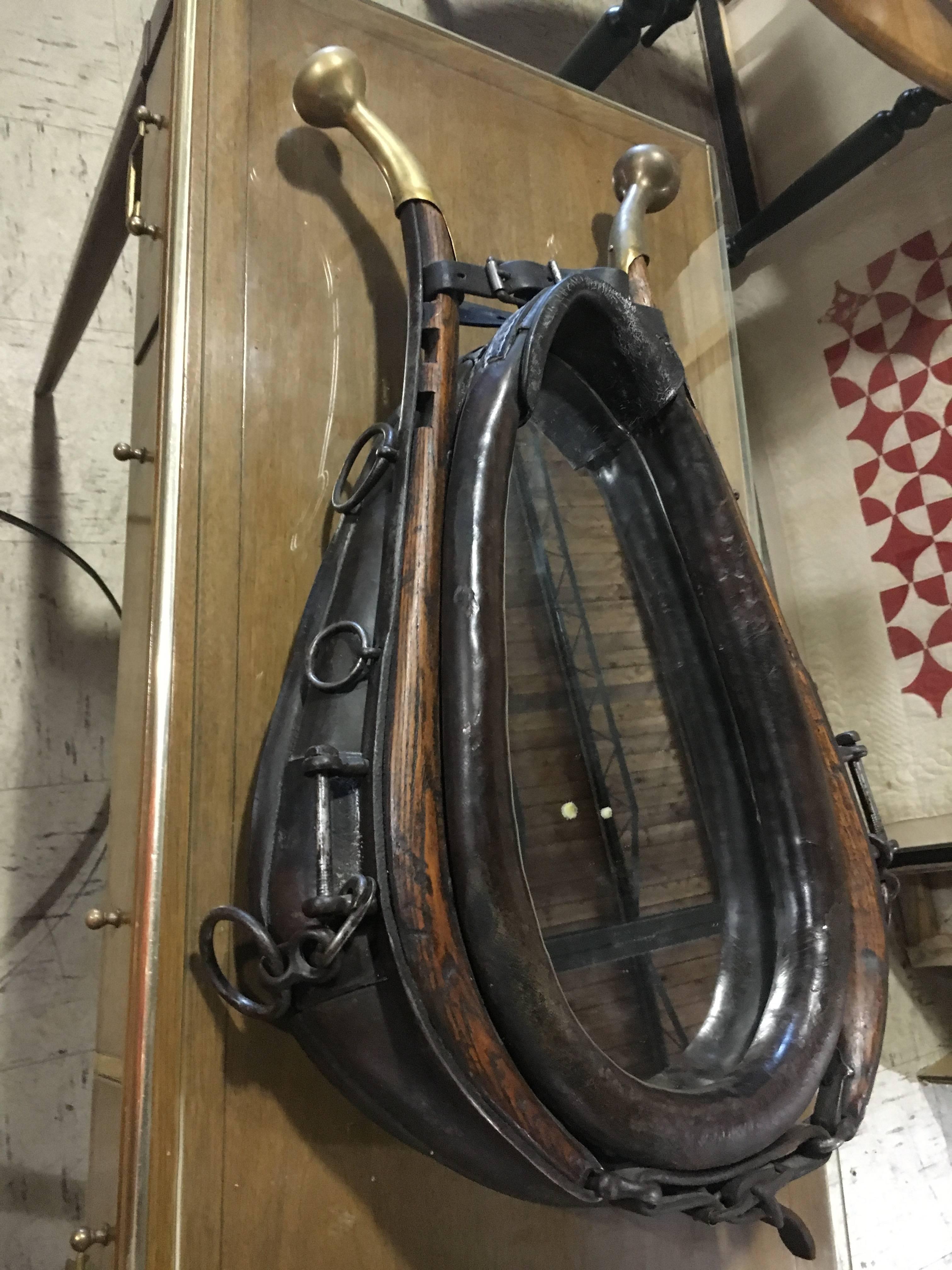 Handsome 19th century leather, wood and brass horse collar mounted as mirror. Great Details And Great Condition.  