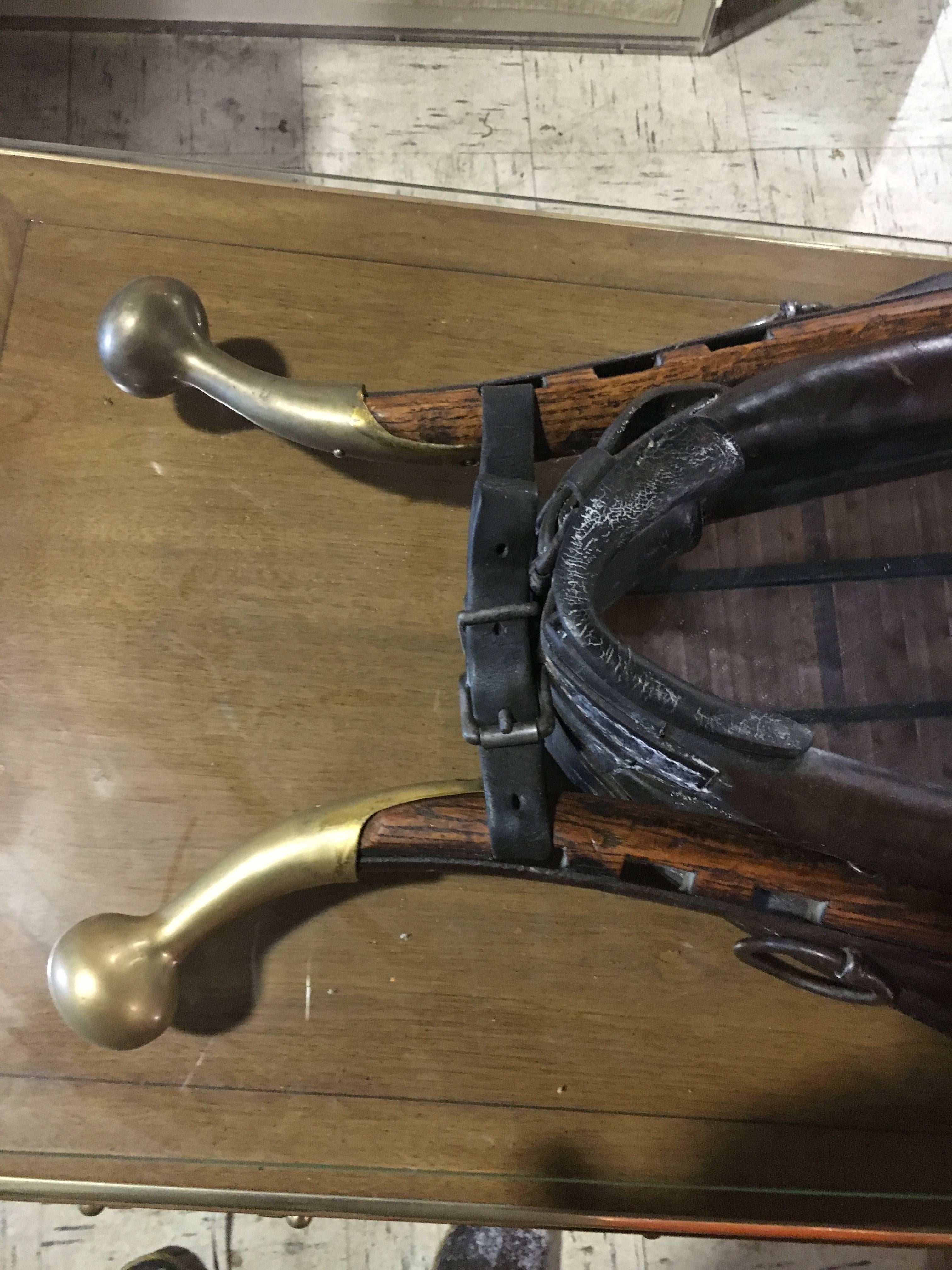 horse collar mirror