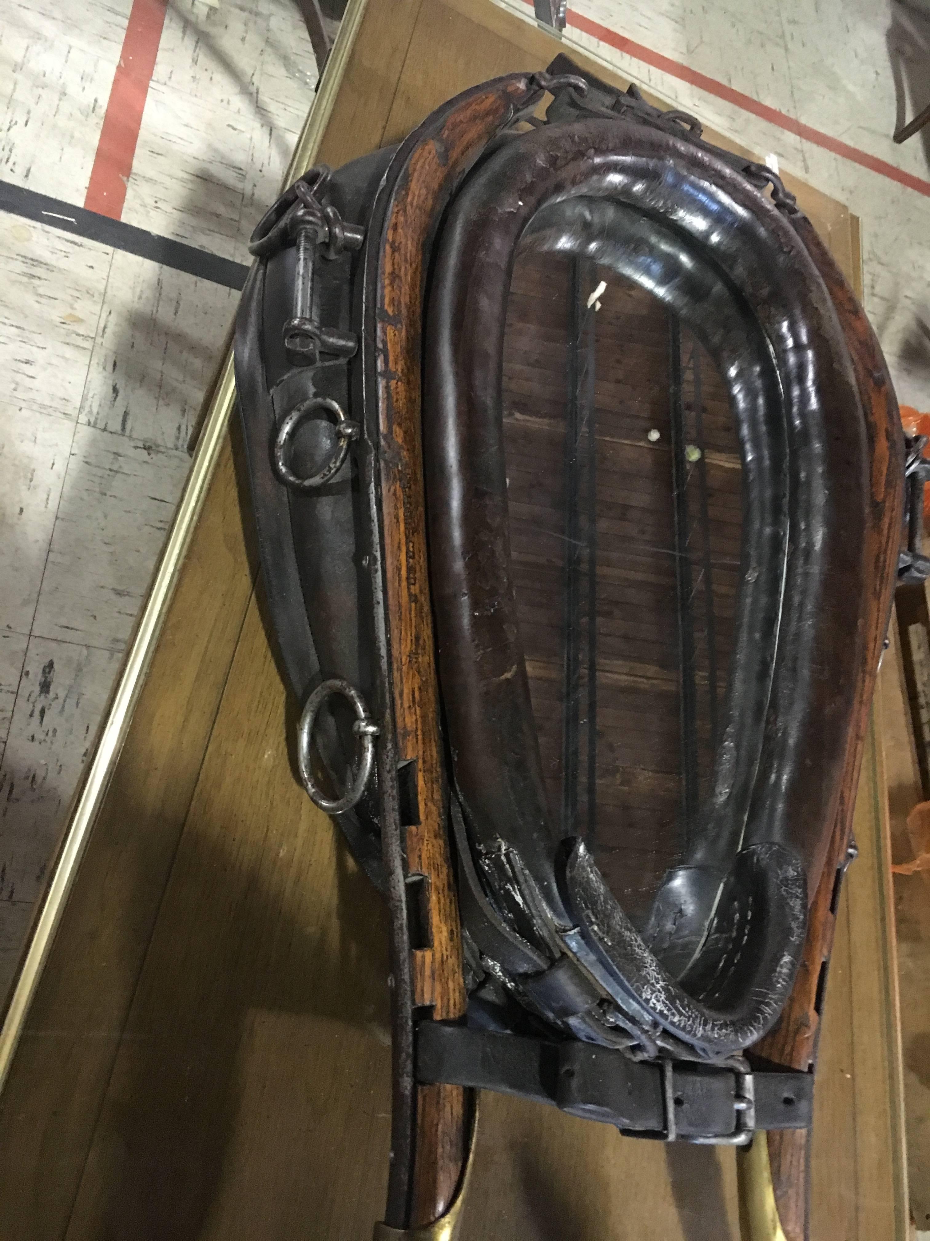 horse yoke mirror