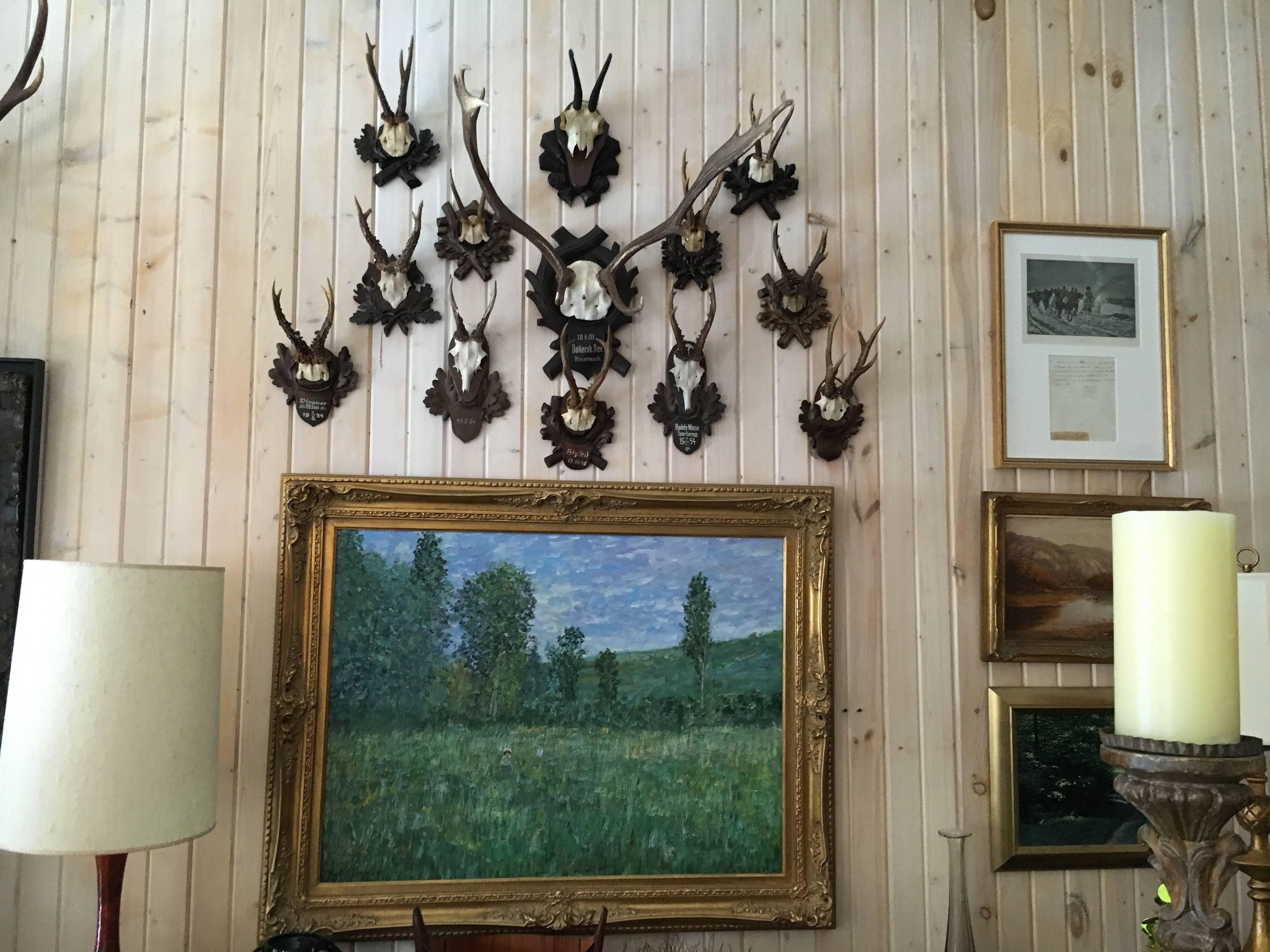 Collection of Black Forrest mounts including one stag, ten roe and one chinois, ranging in size roe 12