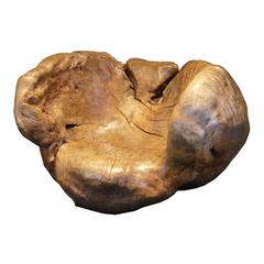 Monumental Burl Wood Chair 5