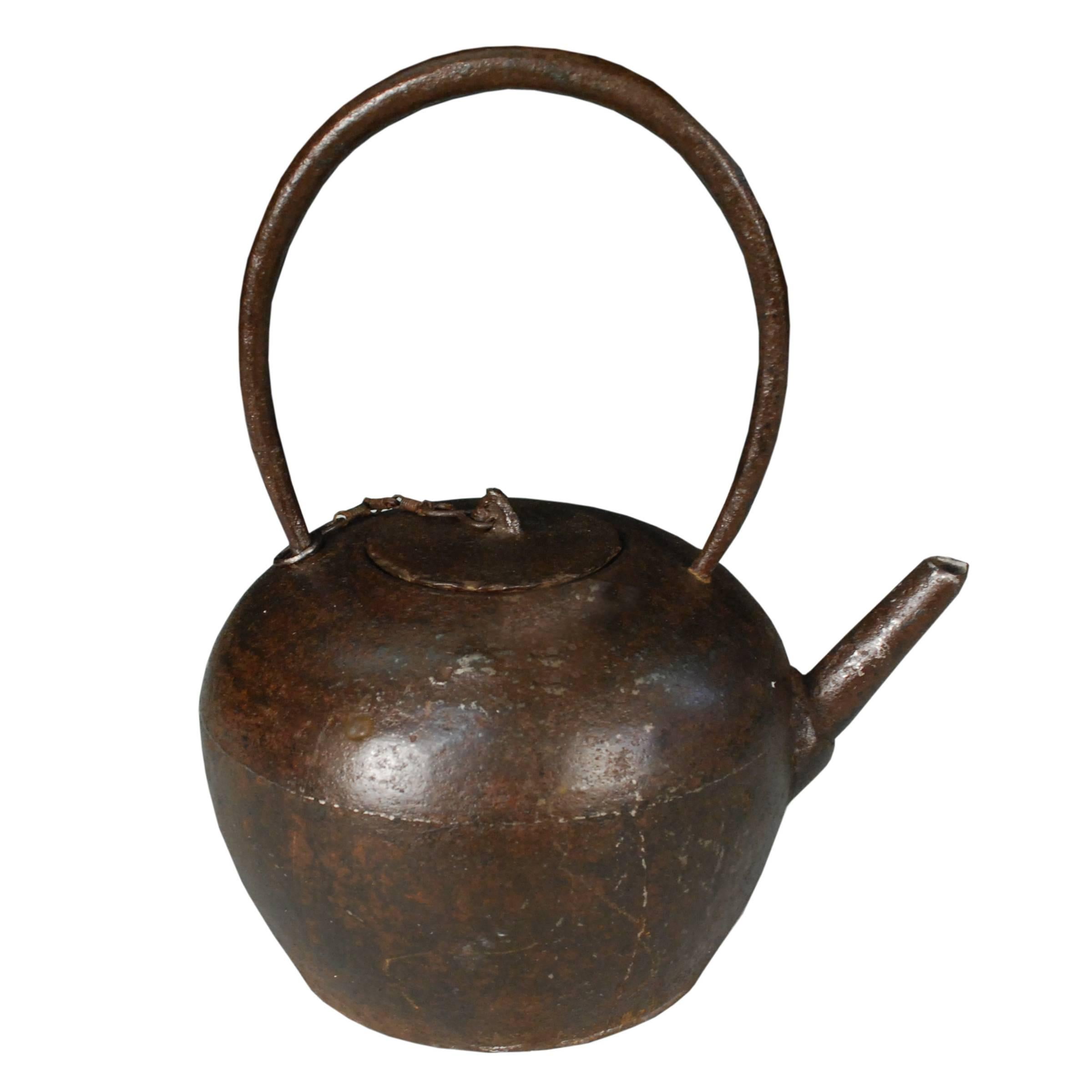 Chinese Cast Iron Tea Pot