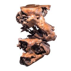 Monumental Root Table