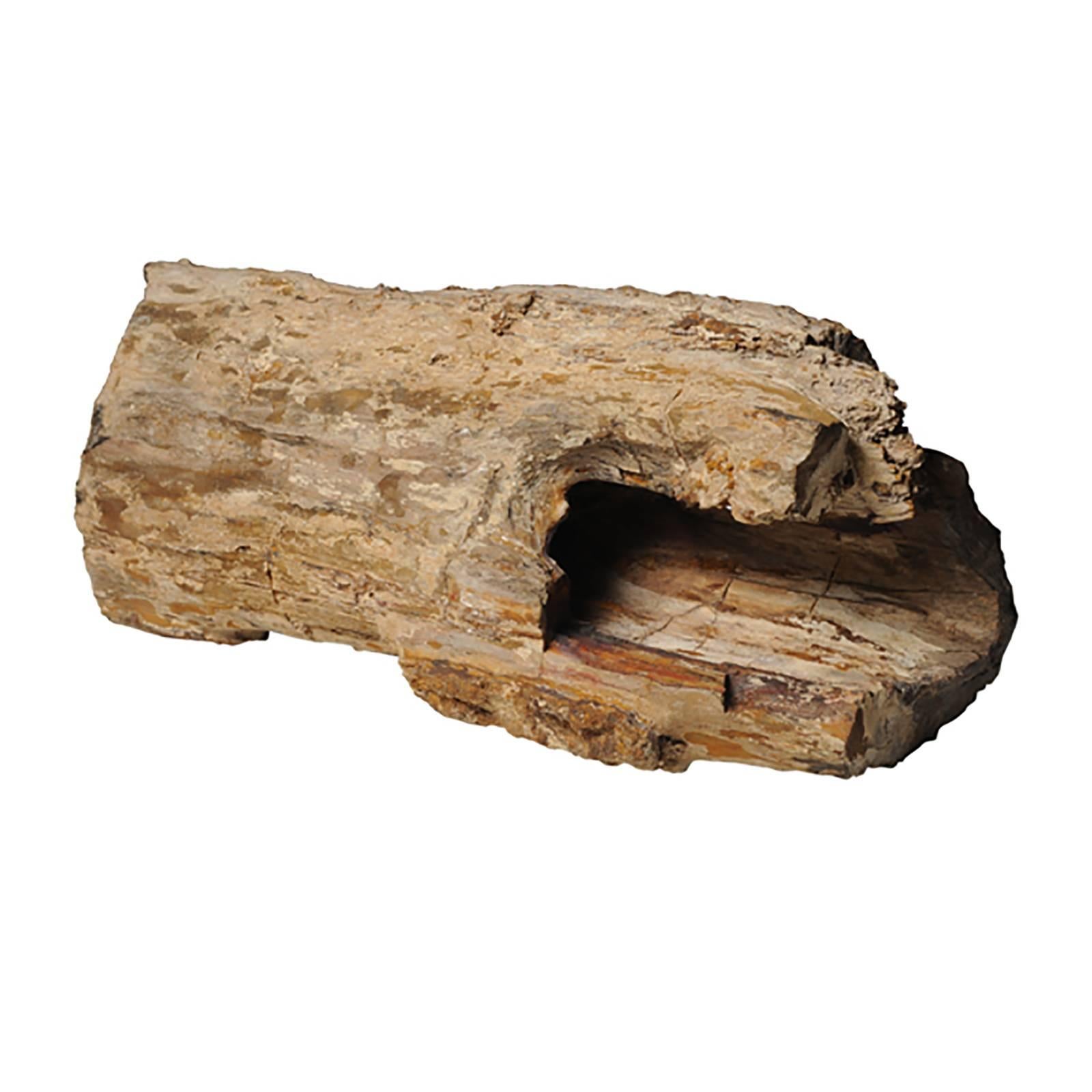 Like scholars' rocks, petrified, or fossilized, wood is appreciated for its natural beauty. Sometimes called 