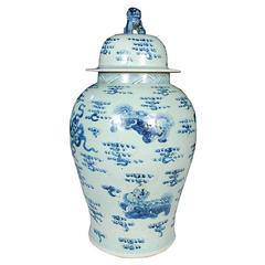 Chinese Blue and White Ginger Jar with Shizi 10