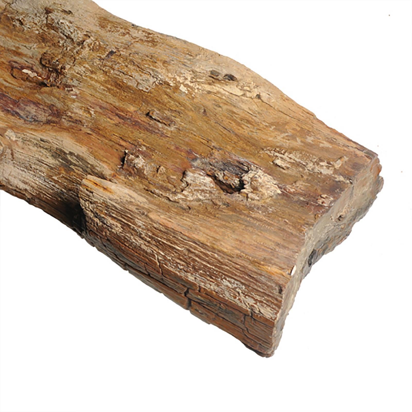 raw petrified wood for sale