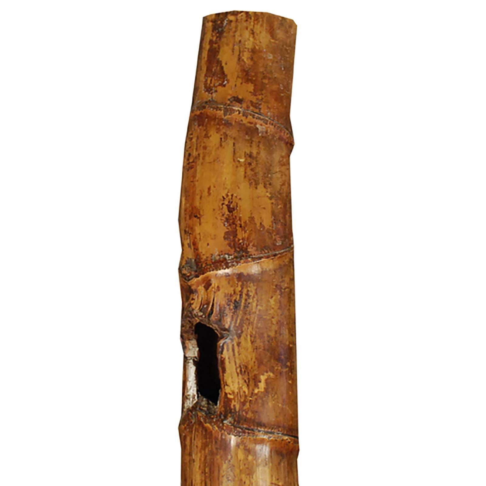 This sculptural form is actually a 19th century pipe made from a special type of bamboo that bulges between growth lines like a “Buddha's belly”. The shaft looks too long to hold comfortably, but the length helped filter the smoke. This special type