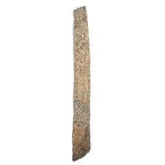 Monumental Taihu Scholar's Stone 8