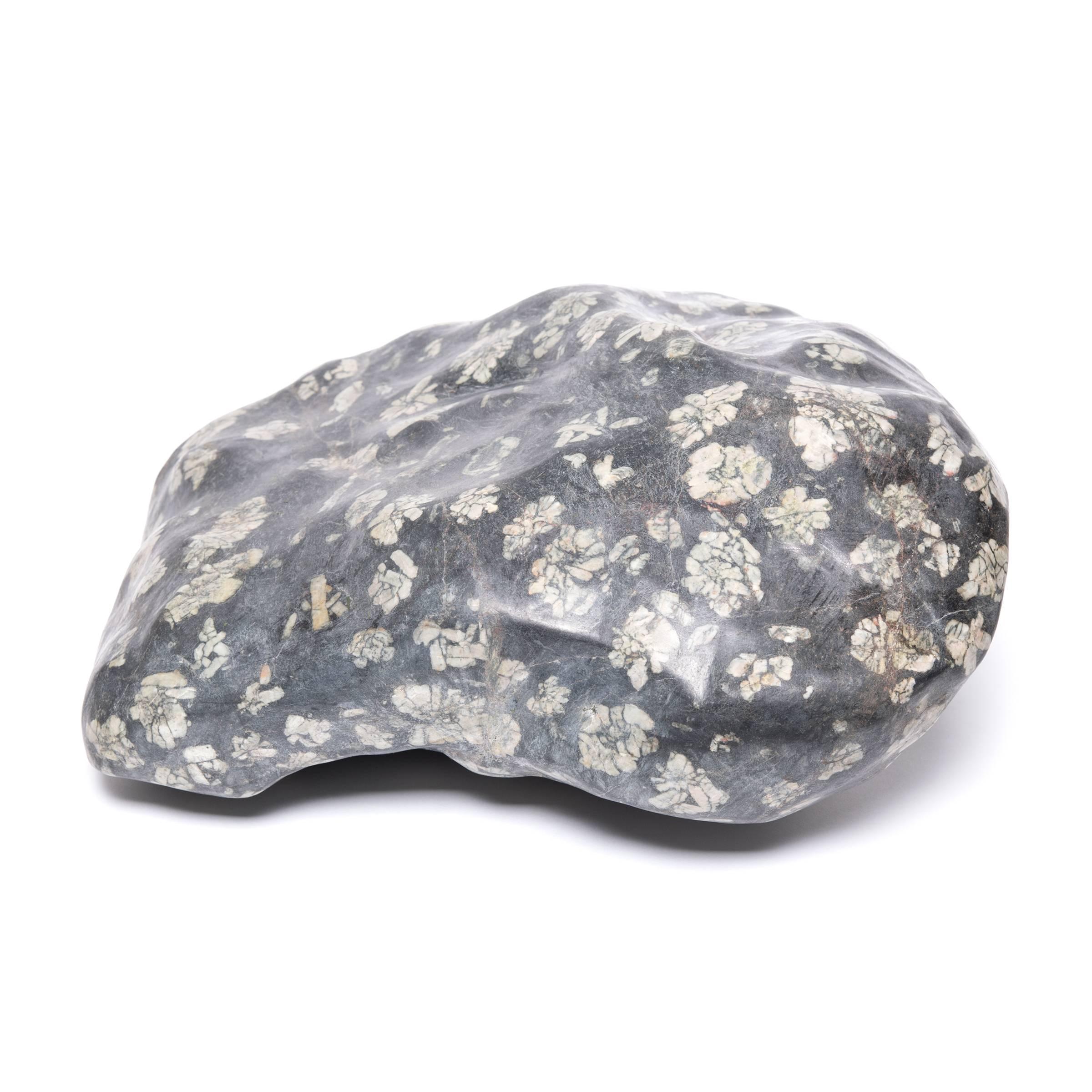 Sourced from Henan province, this amazing stone looks as if it were sprinkled with a flurry of peony blossoms, the result of flower-like aggregates of lighter-colored feldspar incorporated into the stone’s dark, Fine-grained ground. Polished silky