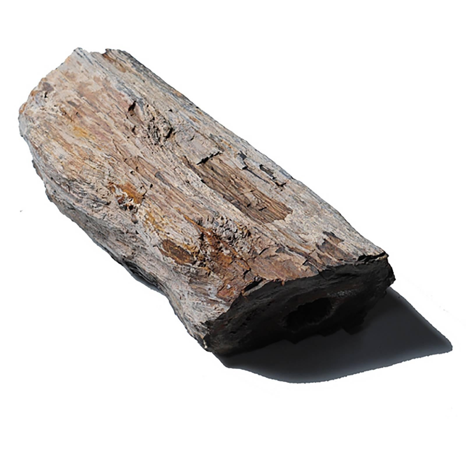 Like scholars' rocks, petrified, or fossilized, wood is appreciated for its natural beauty. Sometimes called 